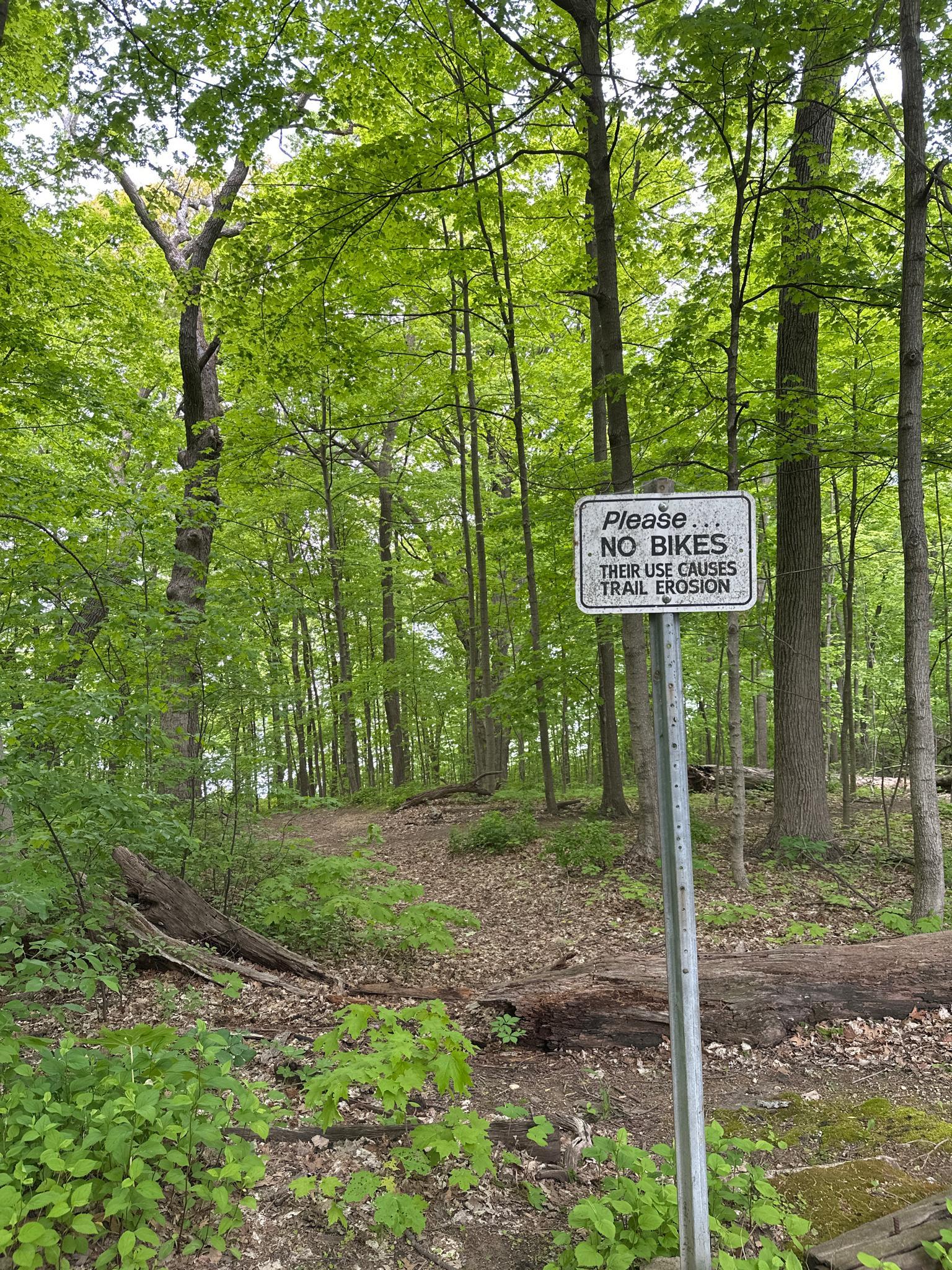 A 'No Bikes' sign stands on a dirt path in a bright, verdant forest.