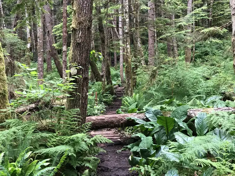 Lighthouse Country Regional Trail loop | randonnée pédestre | Komoot