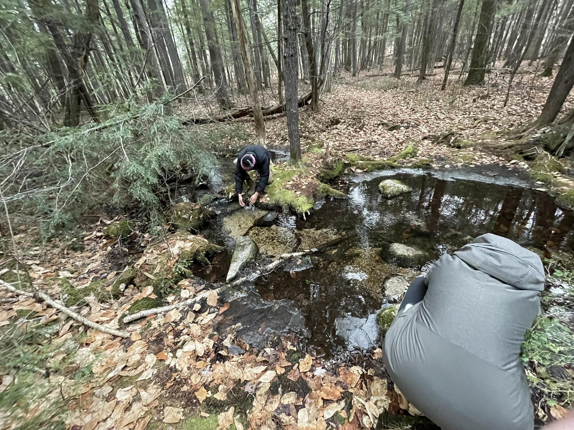 A person clearing debris from a partially frozen stream in a dense forest.