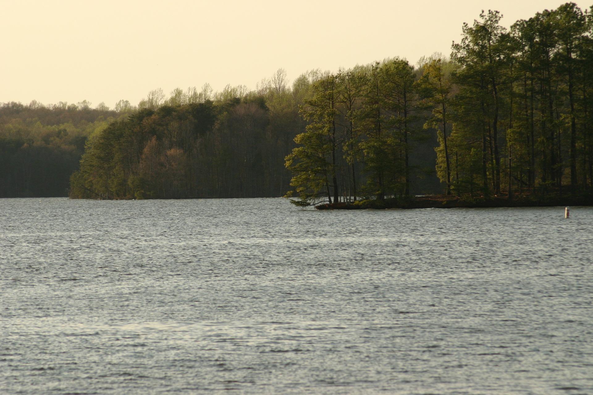 Calm lake with forested shoreline under soft, warm light.