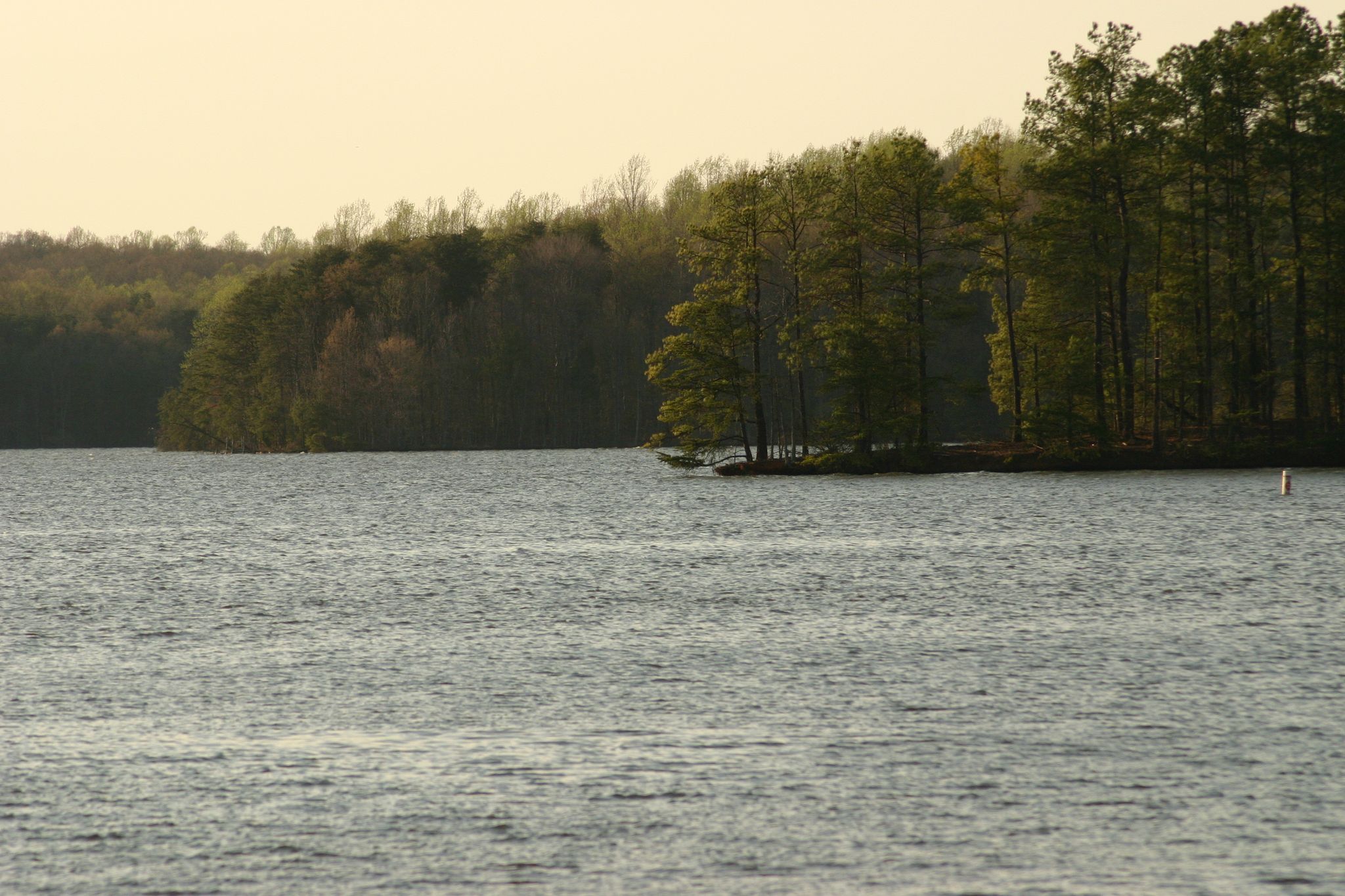 Calm lake with forested shoreline under soft, warm light. - Greensboro to Lake Townsend loop