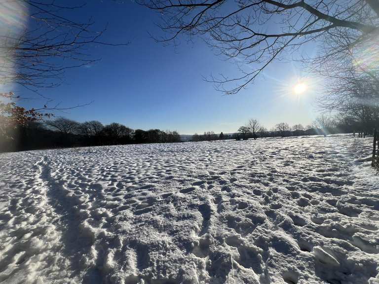 Woodland Path to Chellow Reservoir Routes for Walking and Hiking | Komoot