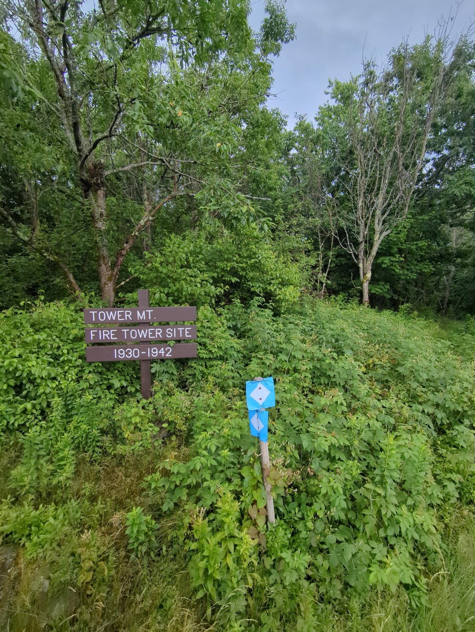 A wooden sign and blue trail marker amidst dense green foliage under overcast sky.