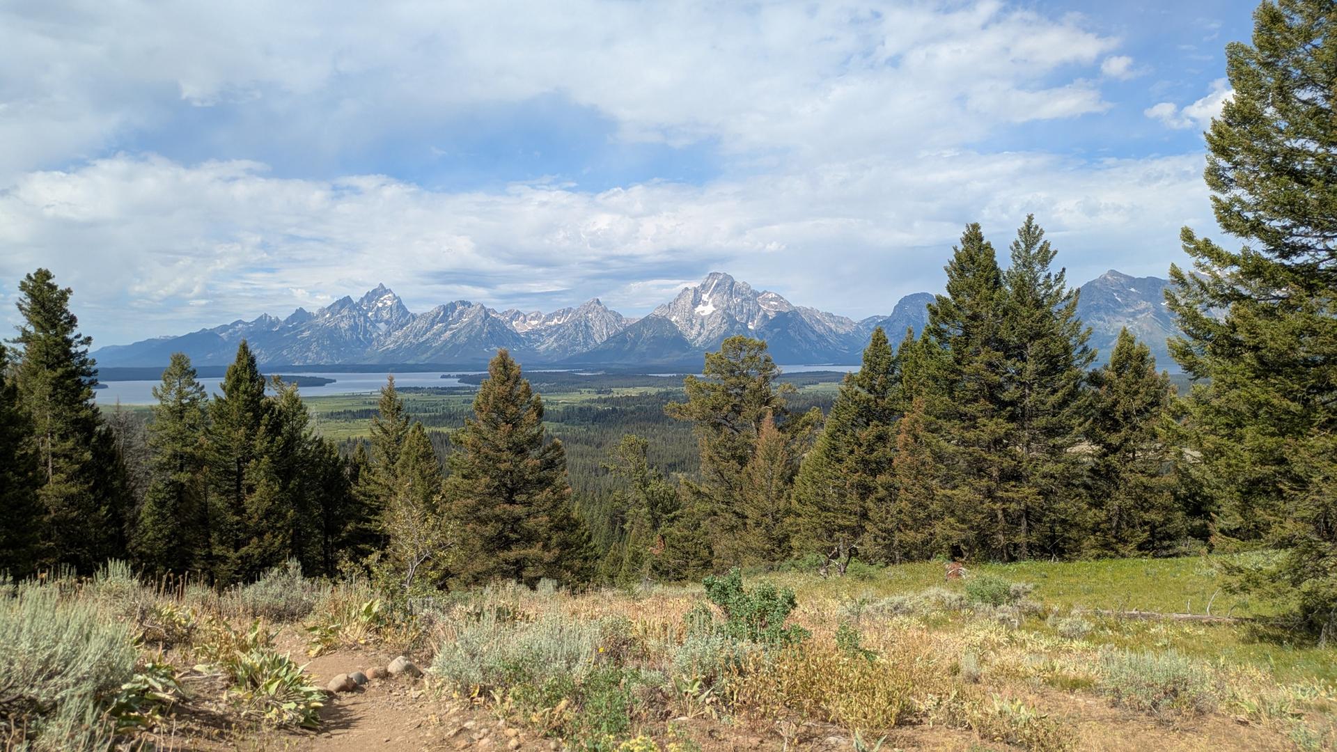 Mountain range with snow, a lake, and a forest from a grassy viewpoint.