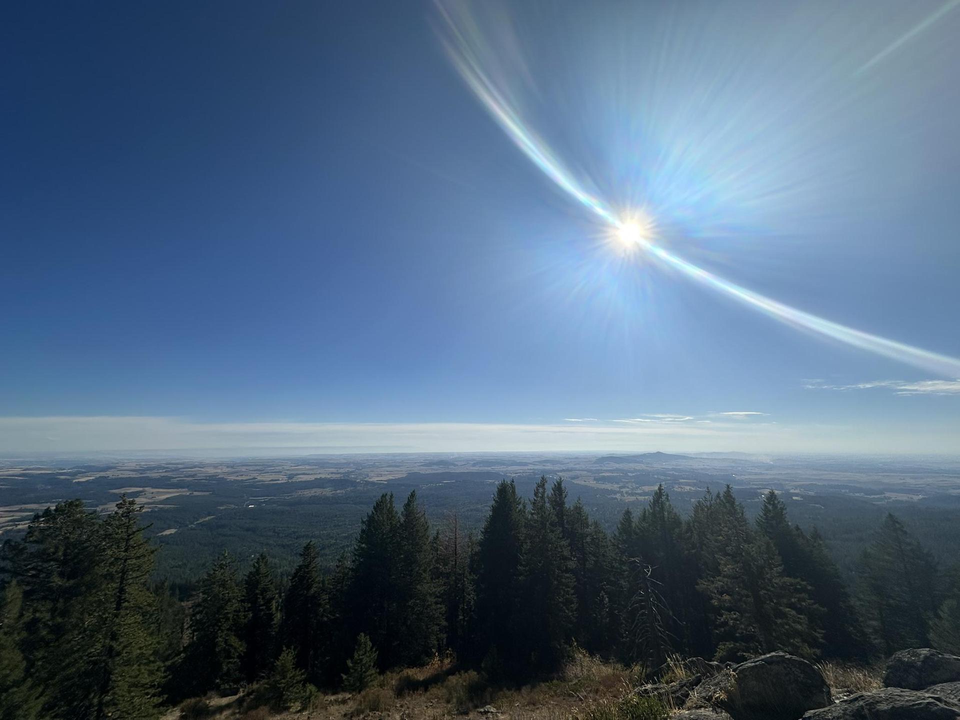 Panoramic view from a mountain, dense forest below, bright sun in clear sky.