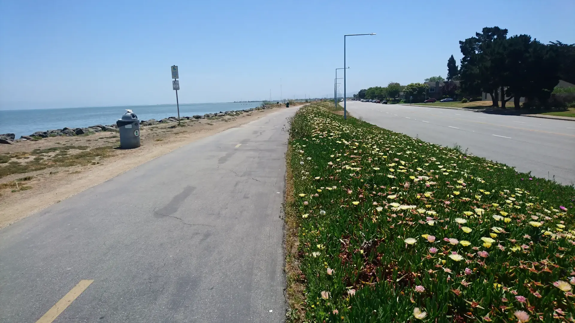 Paved path next to water and road, with blooming flowers, on a sunny day.
