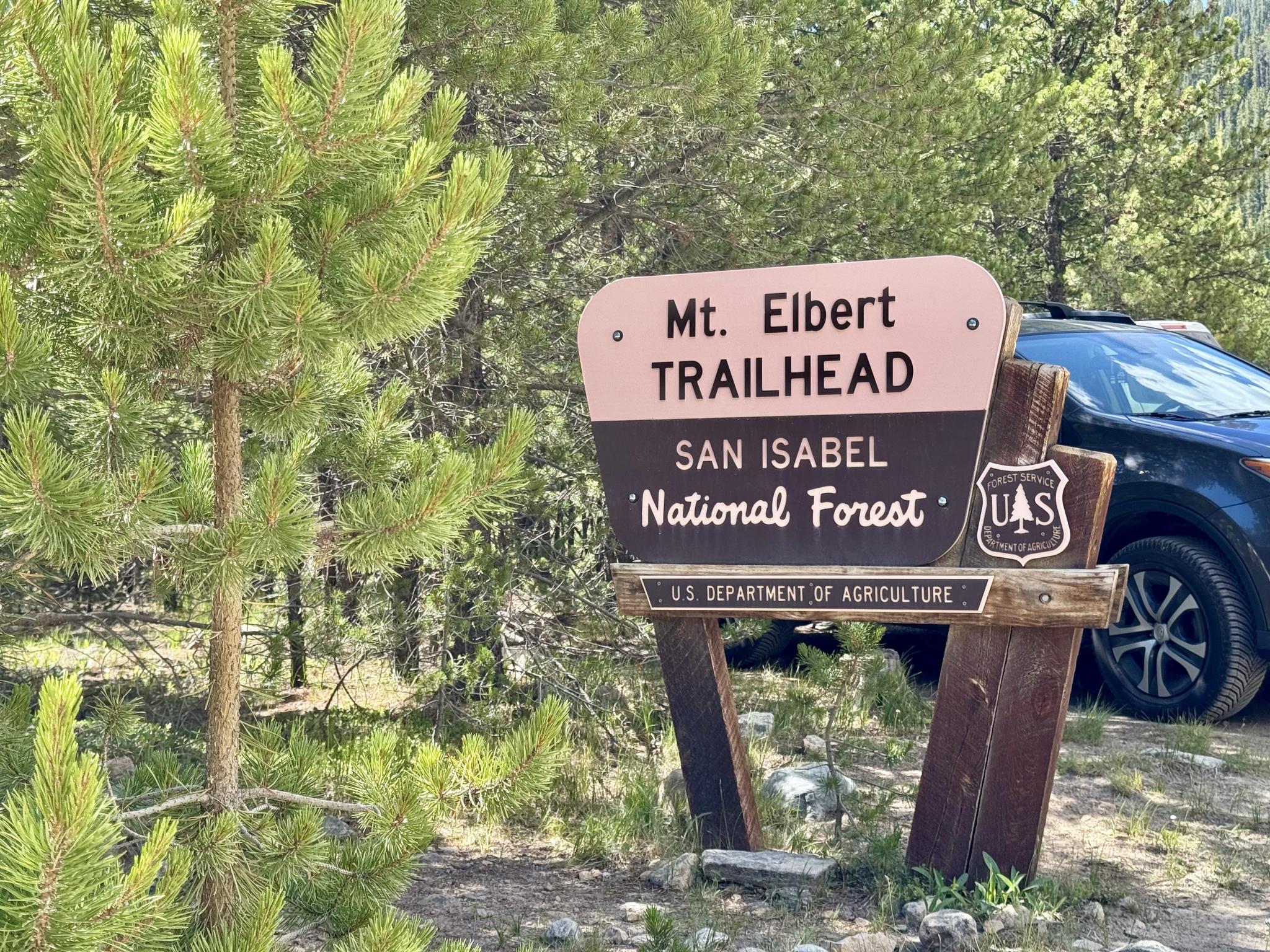 Trailhead sign for a national forest, partially obscured by pine trees.