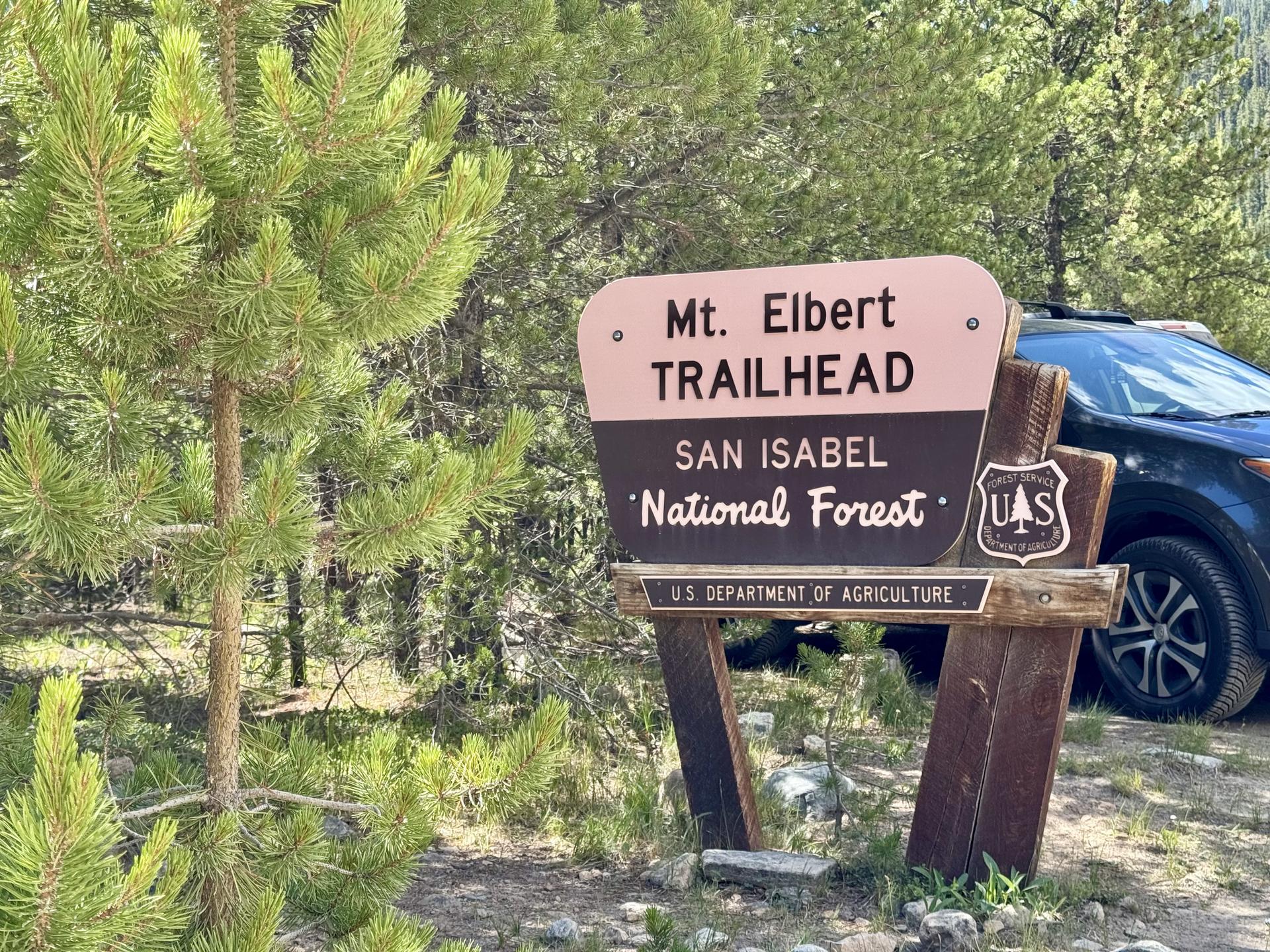 Trailhead sign for a national forest, partially obscured by pine trees.