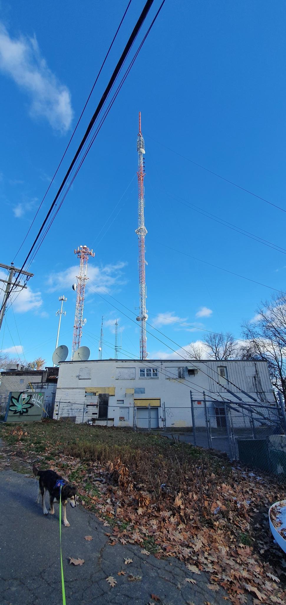 A dog on a leash walks past tall communication towers under a bright blue sky.