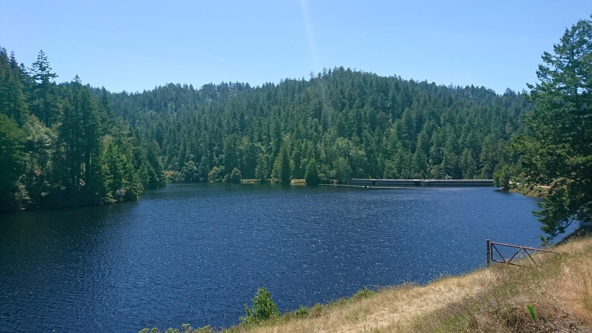 Dark blue lake surrounded by dense green pine forest under bright sky.