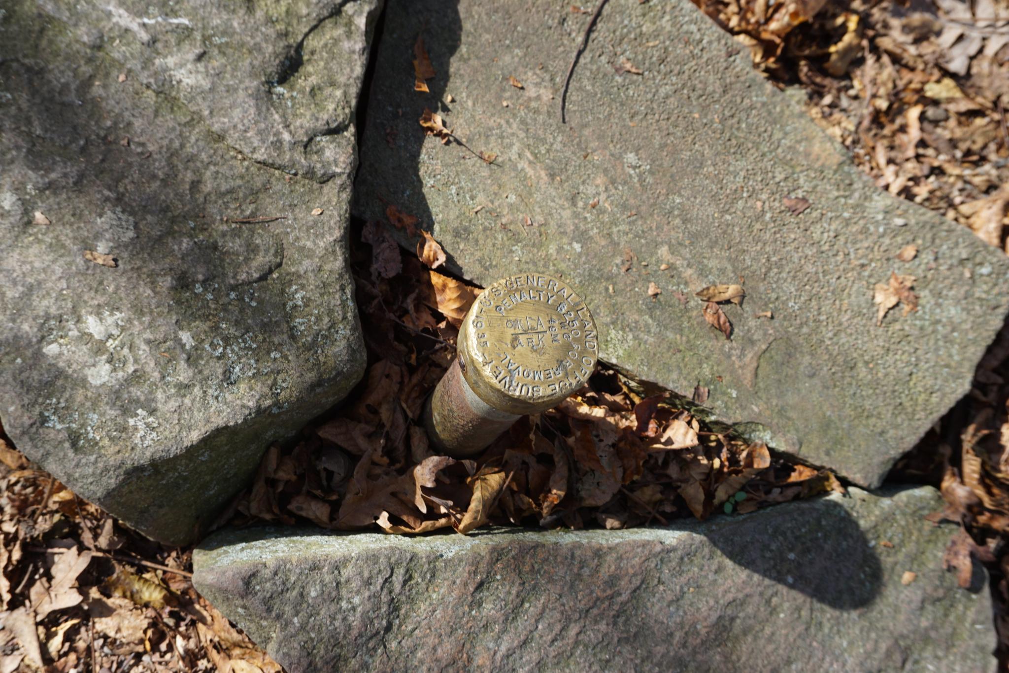 A brass survey marker embedded in rocks and fallen leaves on a sunny day.