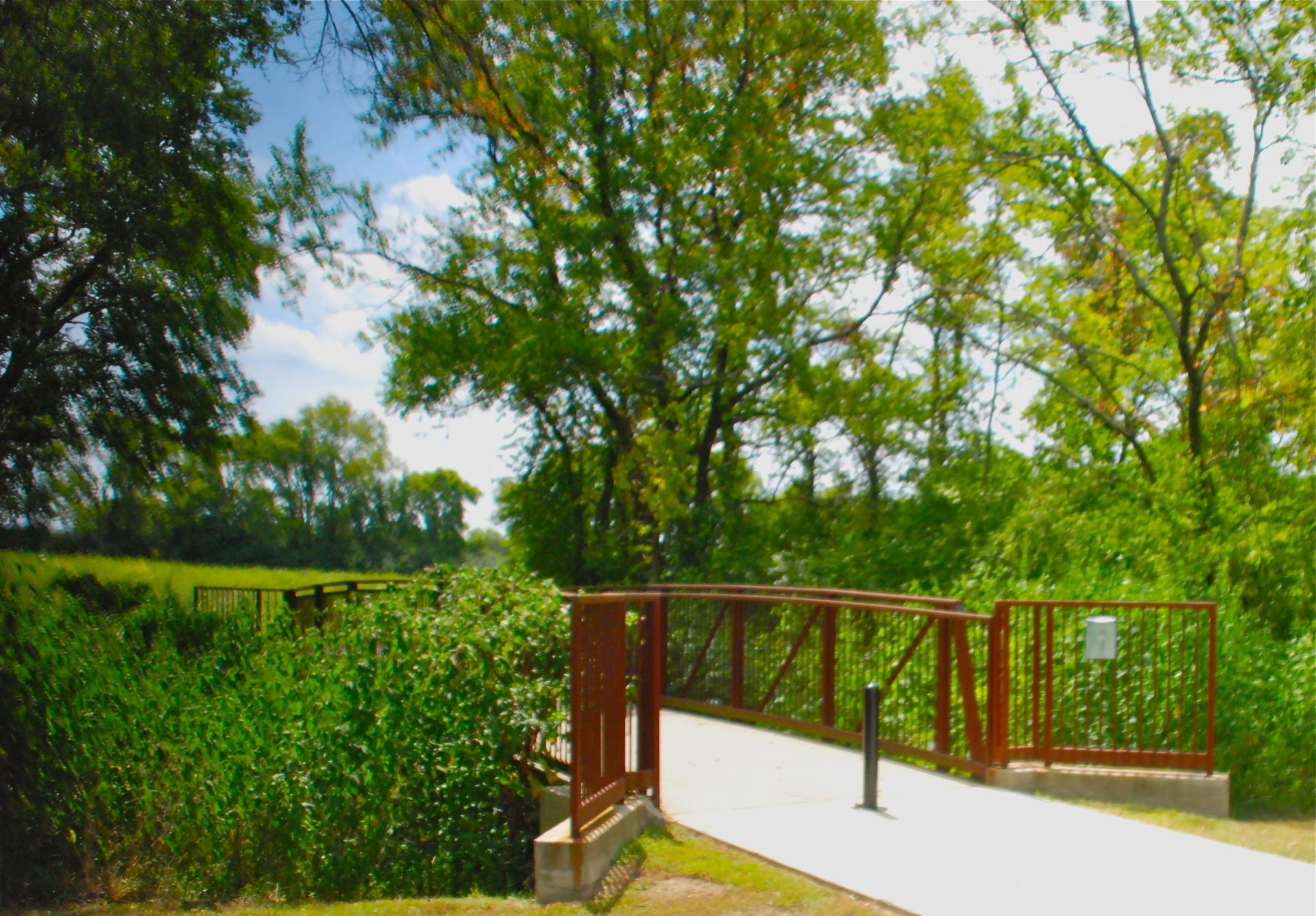 A modern pedestrian bridge over green foliage, surrounded by lush trees.