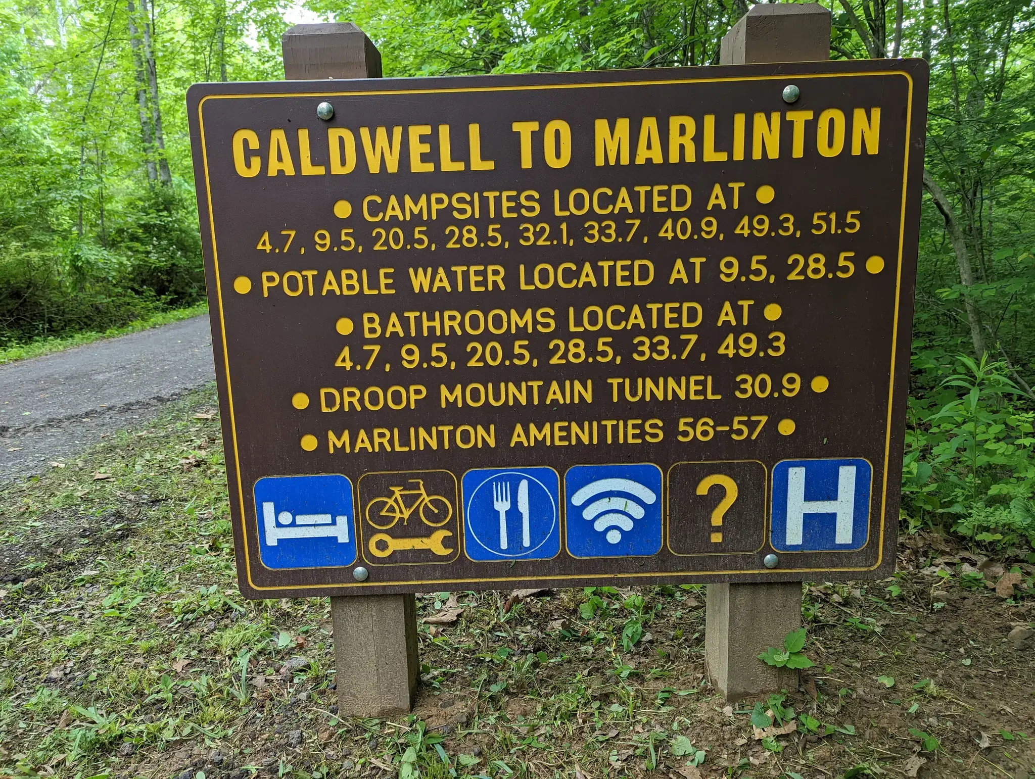 Brown information sign with white text and icons in a green forest.