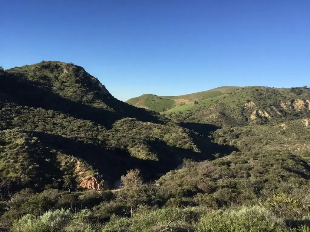 Sunny view of rolling green hills and valleys under a clear blue sky.