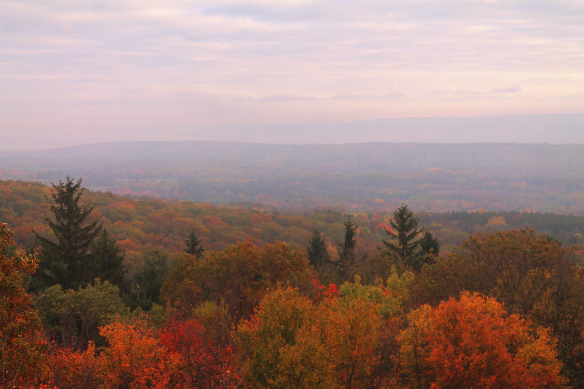 Panoramic view of a vast autumn forest under a hazy, cloudy sky.