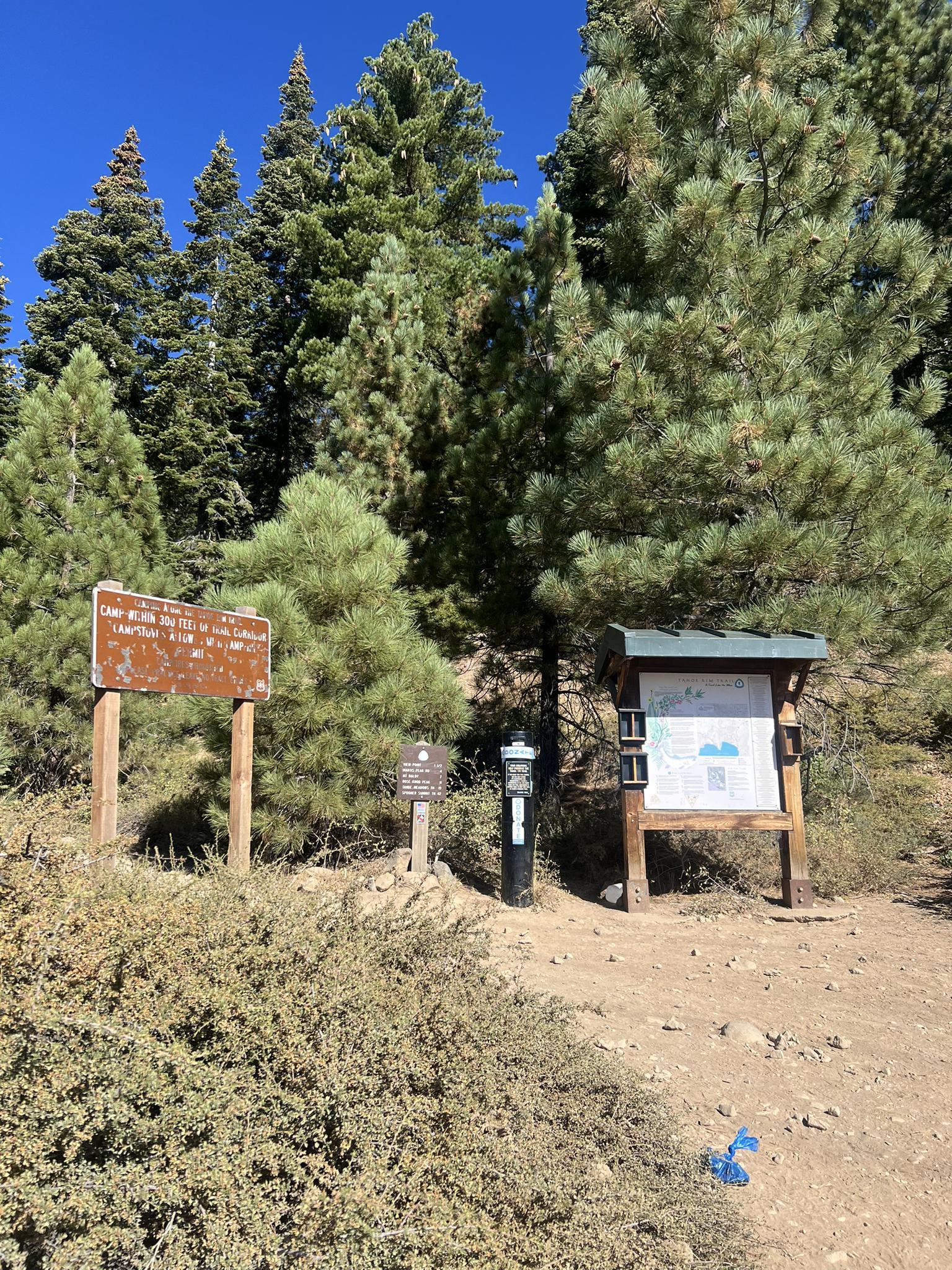 Trailhead signs and information board stand amidst dense pine trees on a sunny day.