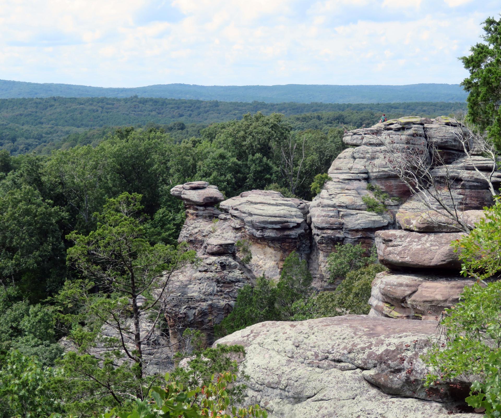 Layered rock formations overlook a vast, green forest under a cloudy sky.