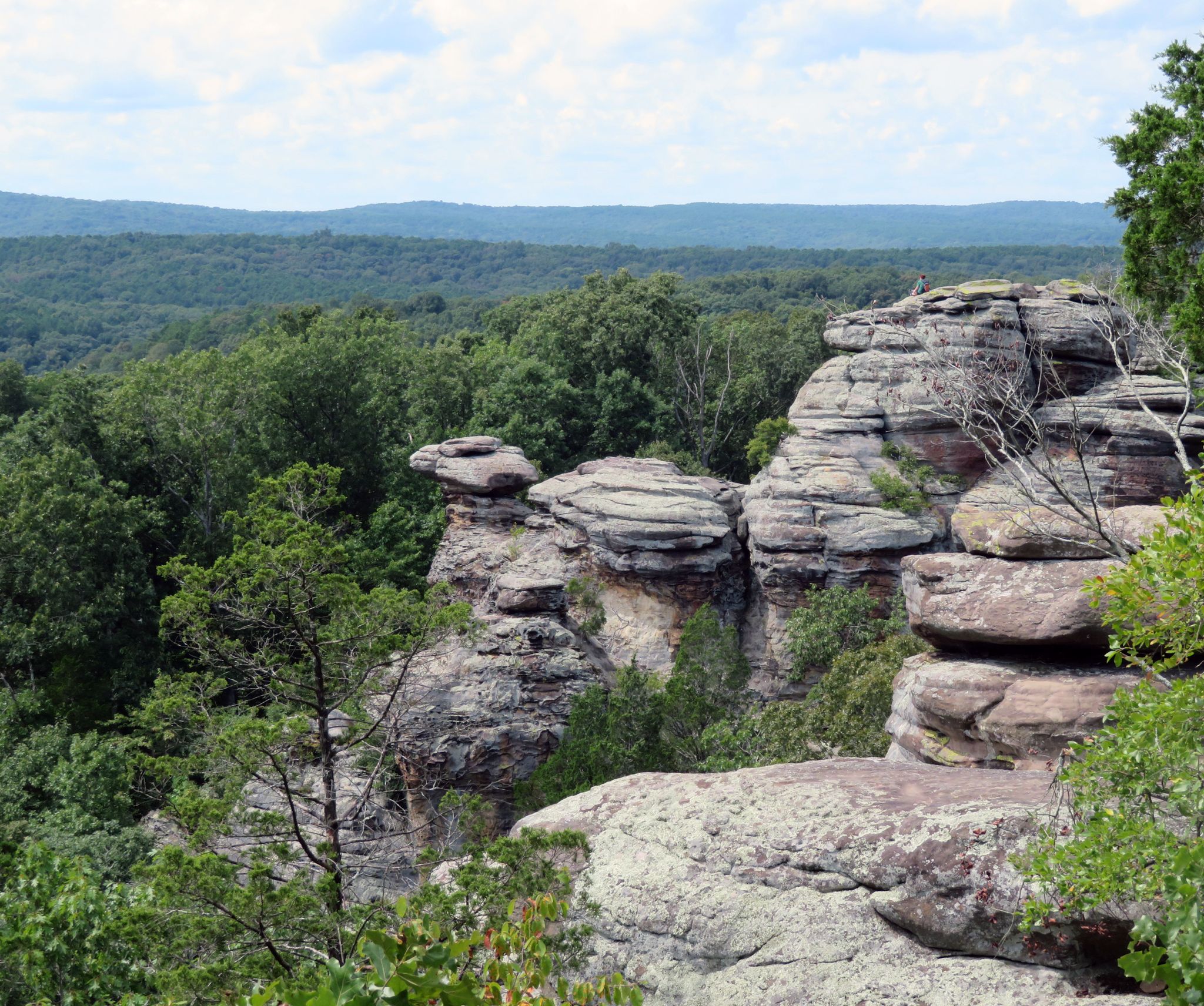 Layered rock formations overlook a vast, green forest under a cloudy sky. - Garden of the Gods Loop