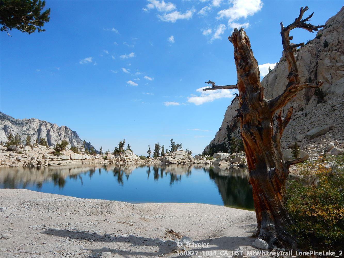 A calm mountain lake with a dead tree in the foreground under a bright blue sky.