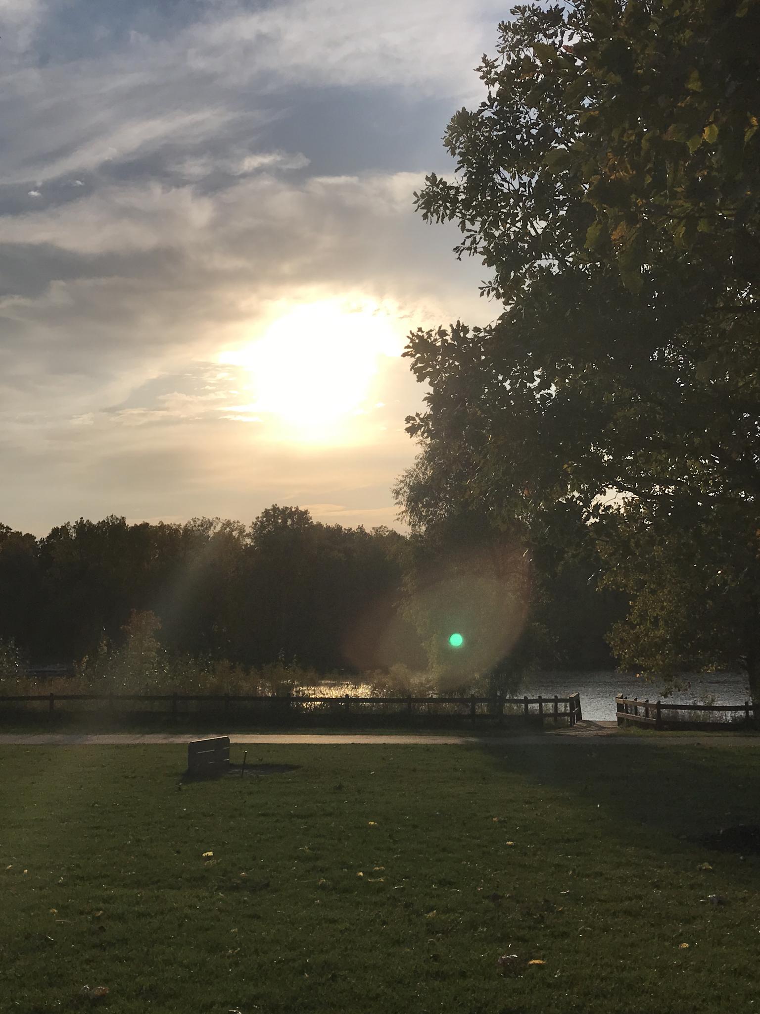 Bright sun over water with trees and grassy foreground, warm light.