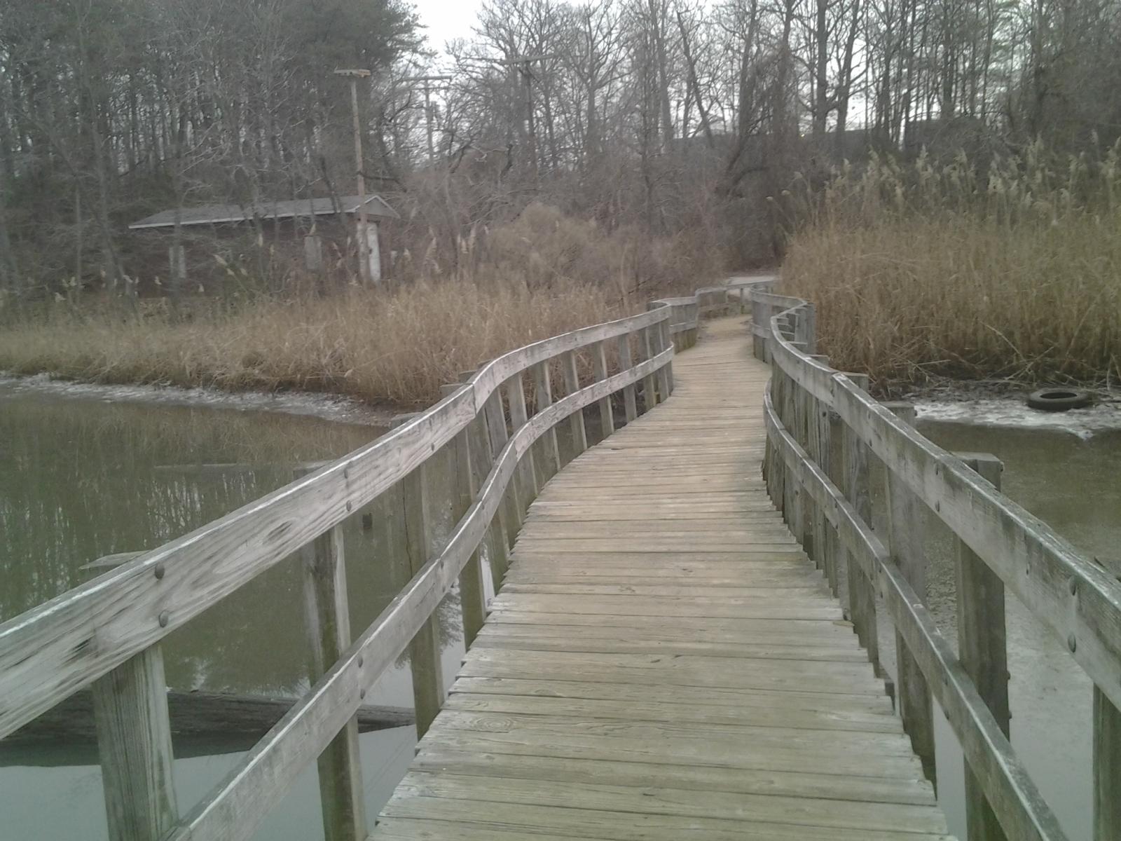 A wooden boardwalk curves over calm water with dry reeds and bare trees.