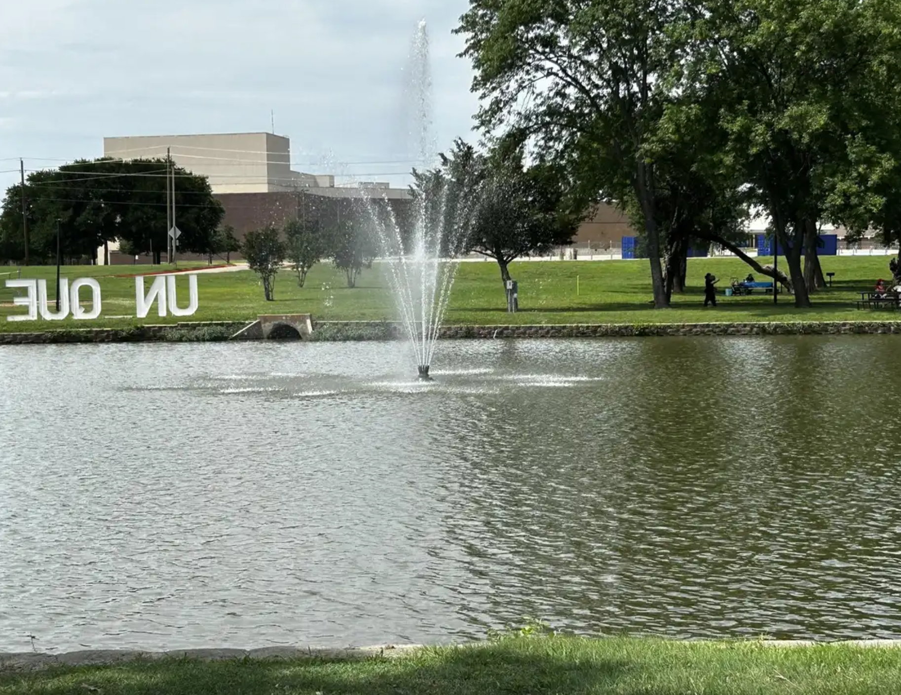 Fountain spraying water in a pond with people relaxing on a grassy bank.