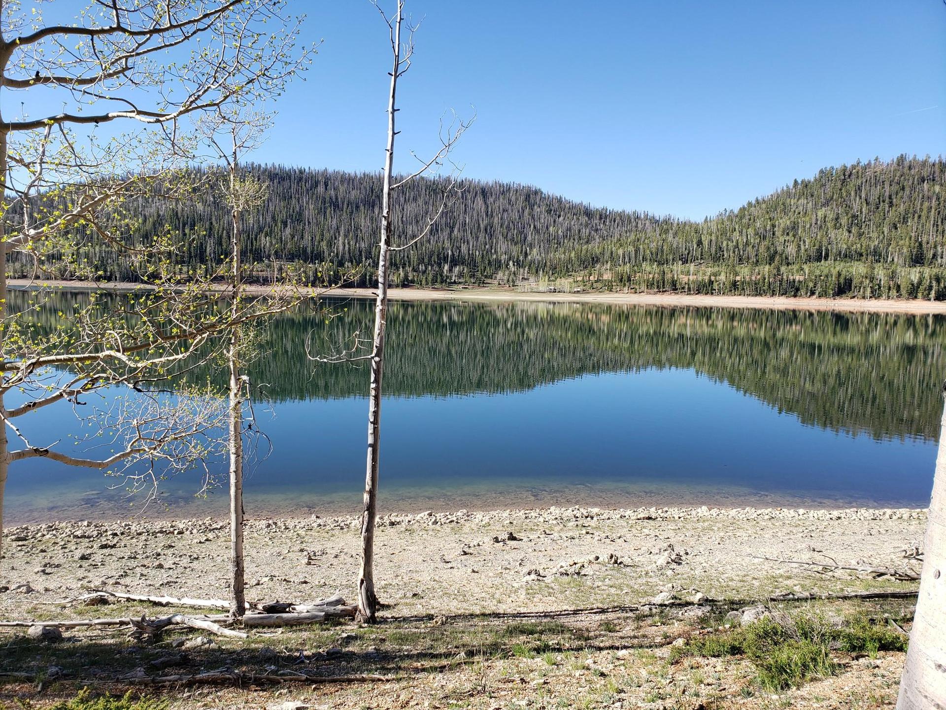 Calm lake reflecting forested hills, with bare trees on a rocky shore.