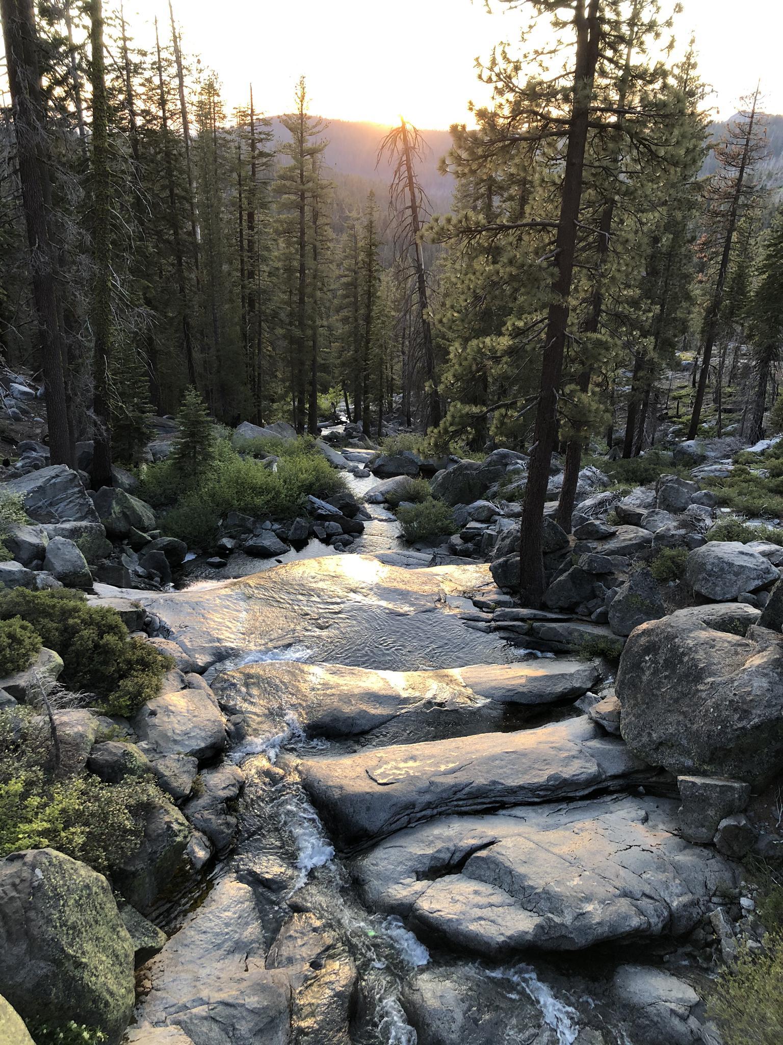 Sunlit stream flows over rocks through a dense forest at sunset.