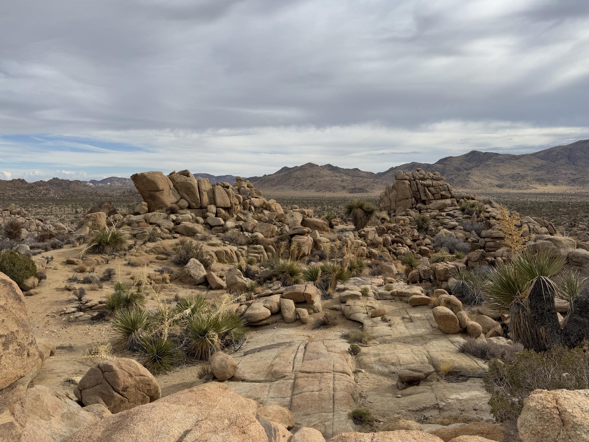Rocky desert with large boulders and scrub brush under an overcast sky.