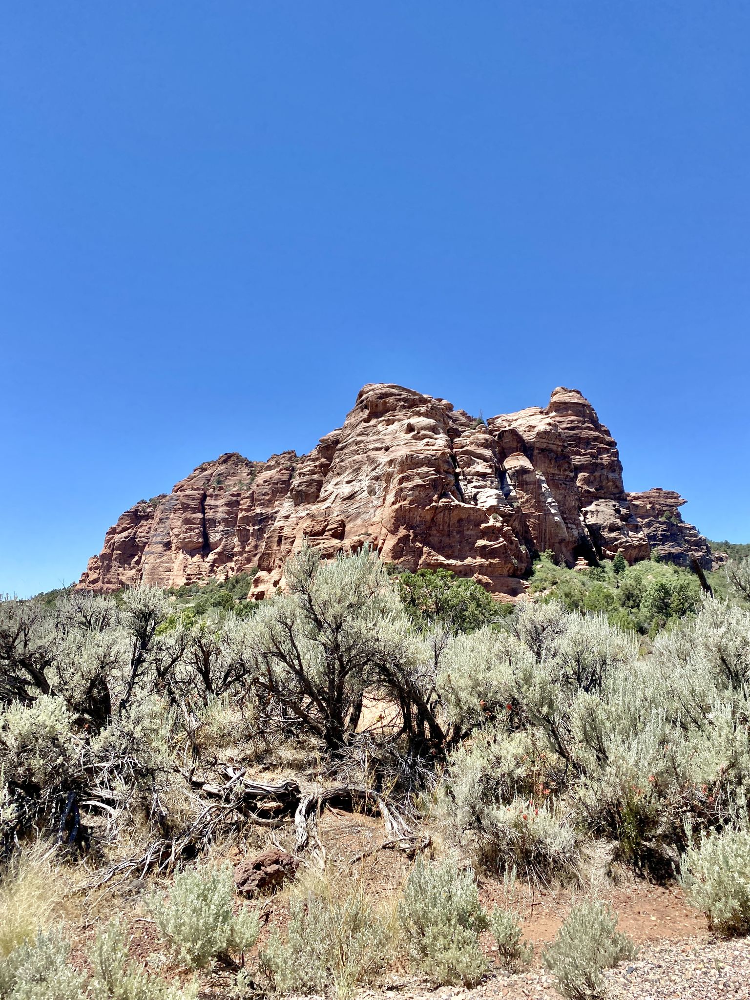 Rugged red rock formation rises above desert scrubland under a bright blue sky. - Kolob Terrace Road – Tabernacle Dome & Lambs Knoll loop from Virgin