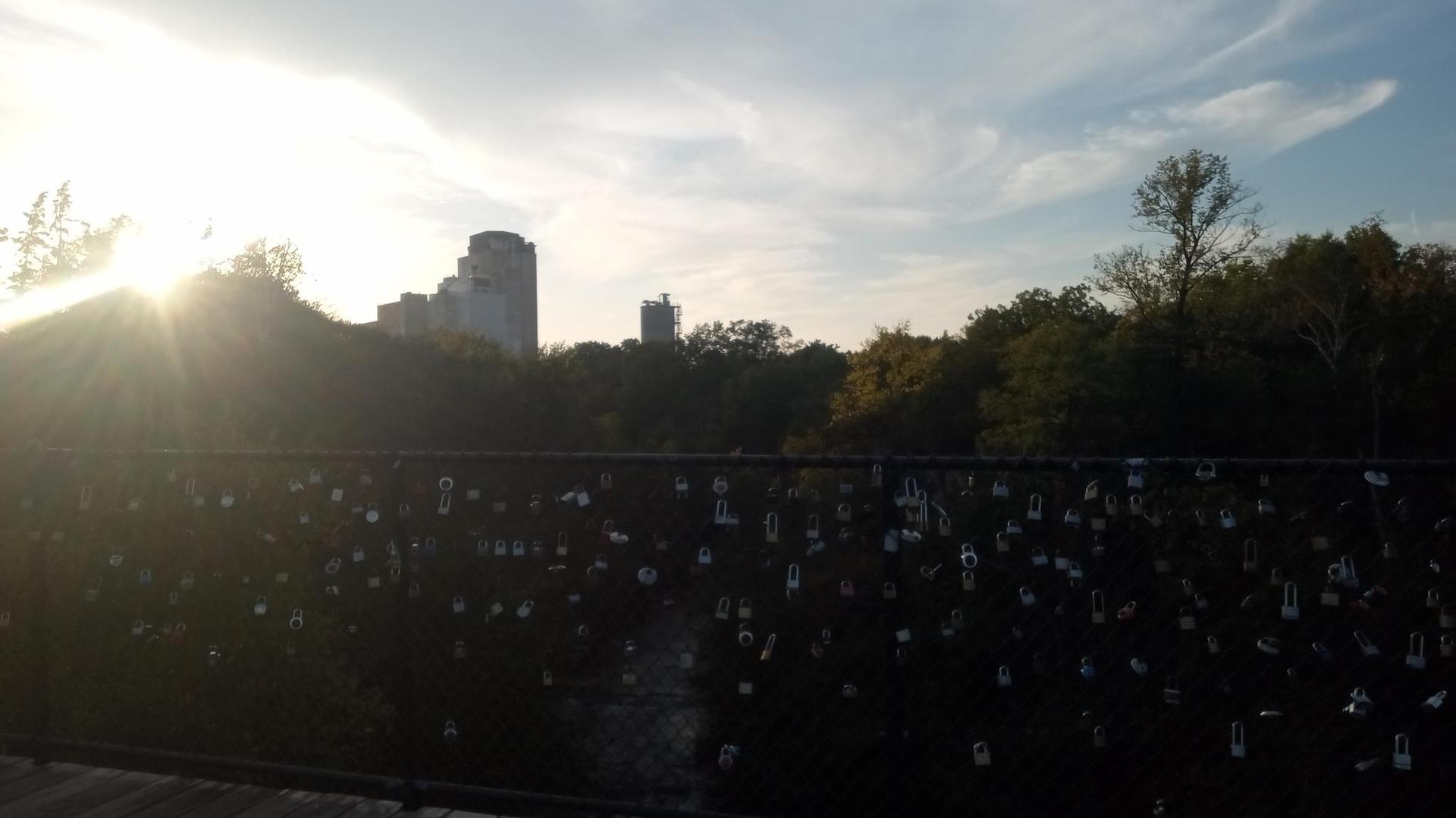A fence covered in locks with a bright sun flare and distant buildings.