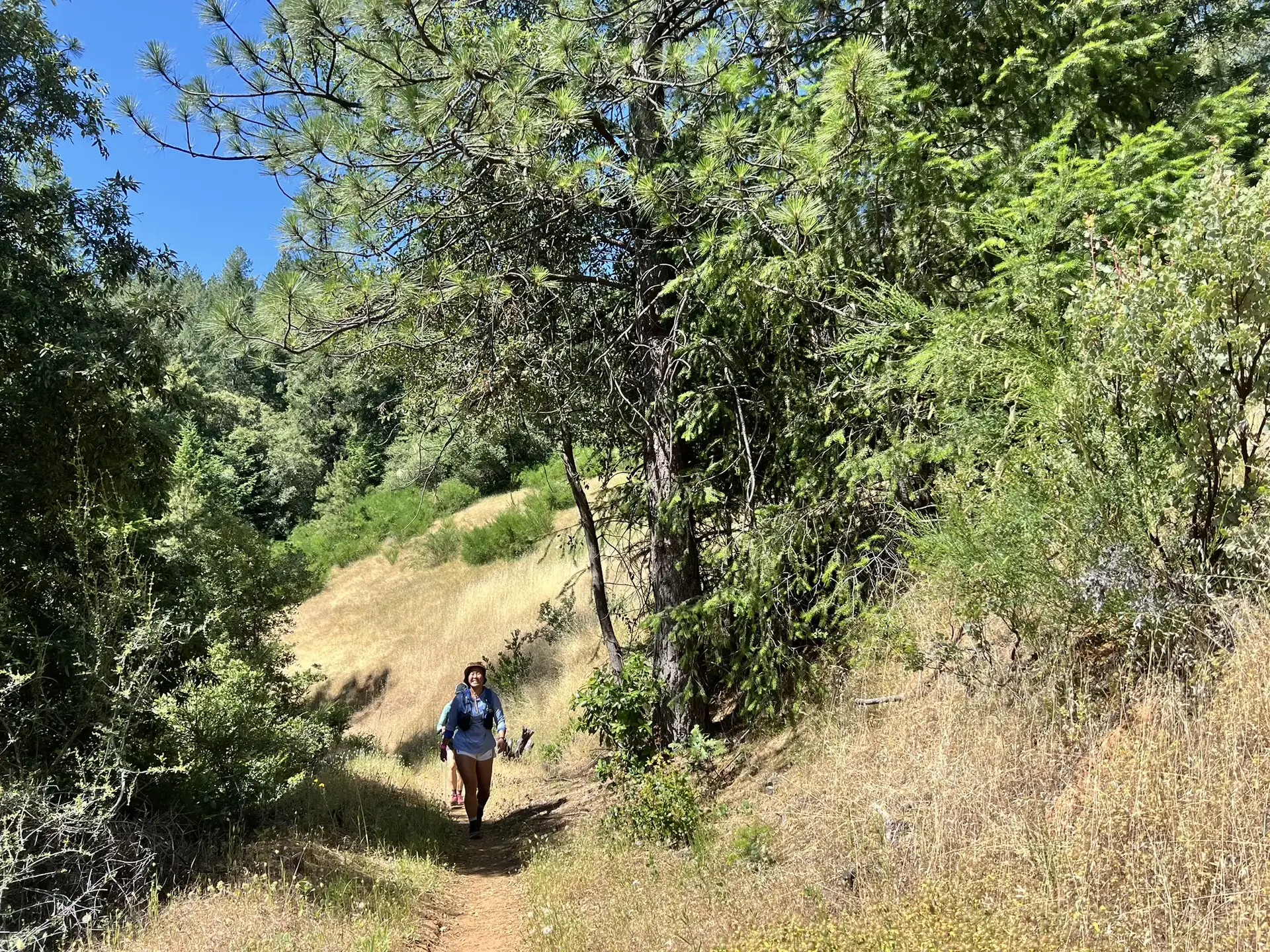 A person hikes on a sunny dirt path through dry hills and green trees.