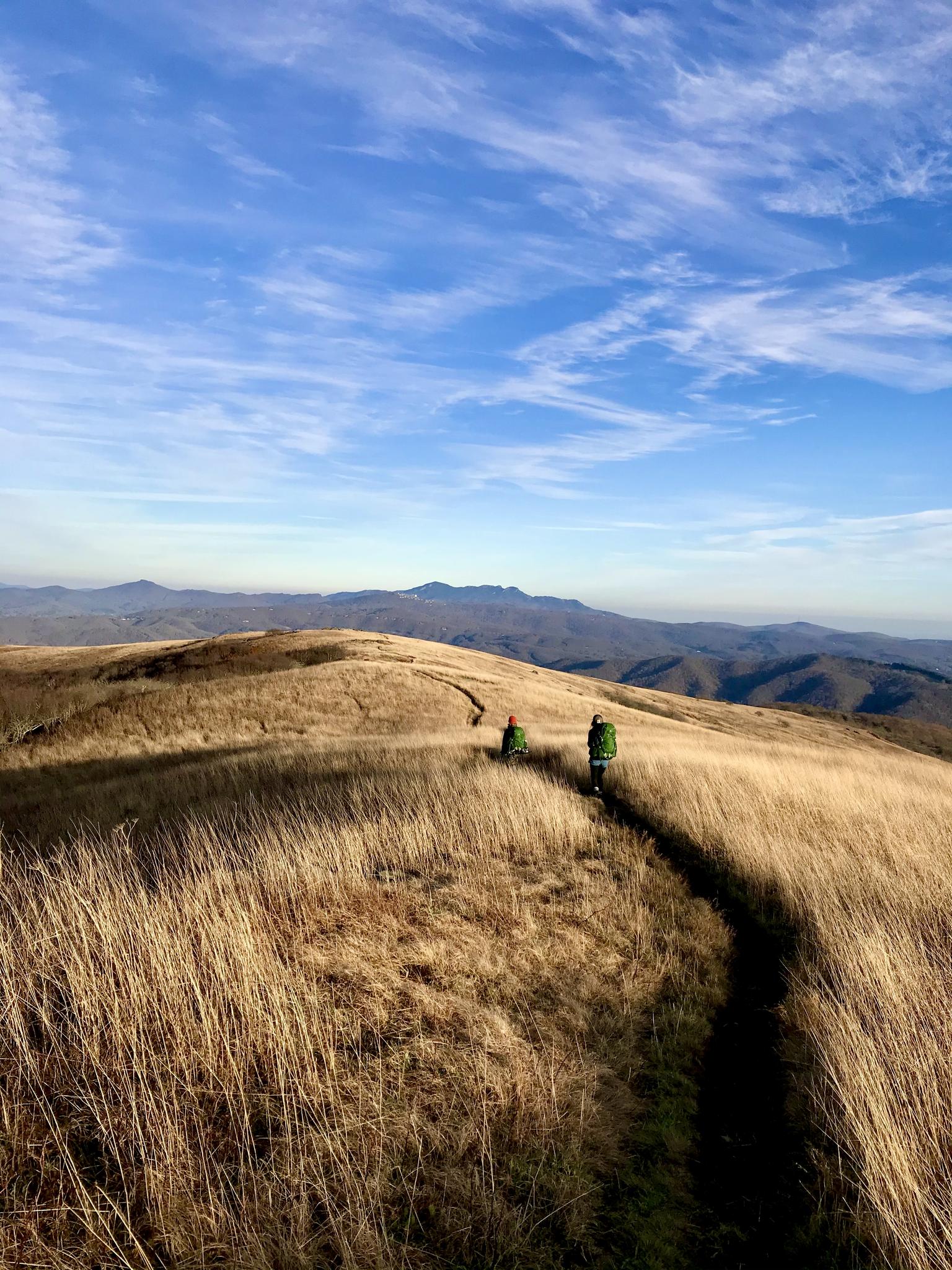 Two hikers on a golden grassy ridge under a bright blue sky.