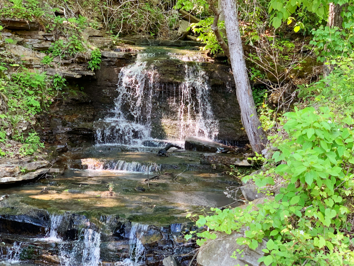 Small waterfall cascading over rocky ledges surrounded by green foliage.