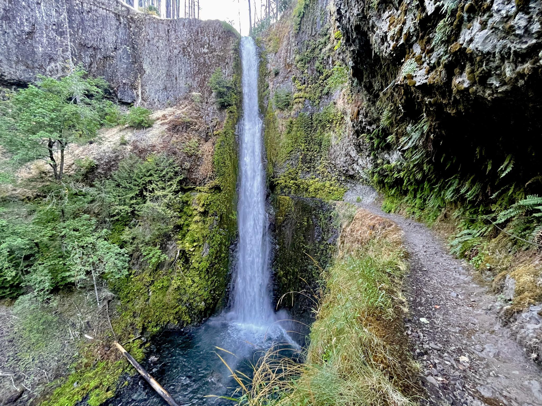A tall waterfall plunges into a clear pool beside a dirt path.