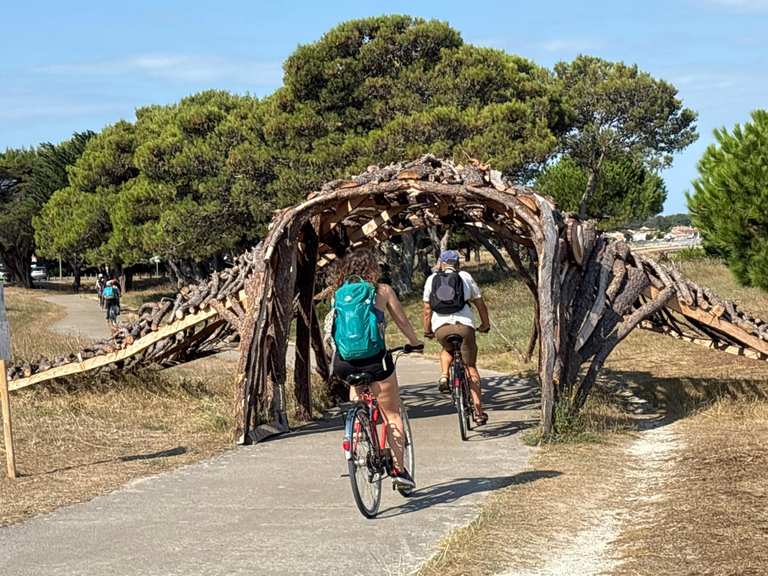 fahrradsattel schaumstoff Leapiture Fahrradsattel, Schaumstoff-Fahrradsattel, Rennrad-Sattel, Hohles Stahl-Mountainbike-Sitzkissen, Ersatz Für Faltbare Fahrräder, Fitness-Enthusiasten Sport & Freizeit Farbe:TL907Q52 Fullface-Helm Leatt Gravity 6.0 Category:Fahrräder_RockShox Judy Silver TK Air  100mm  PopLoc