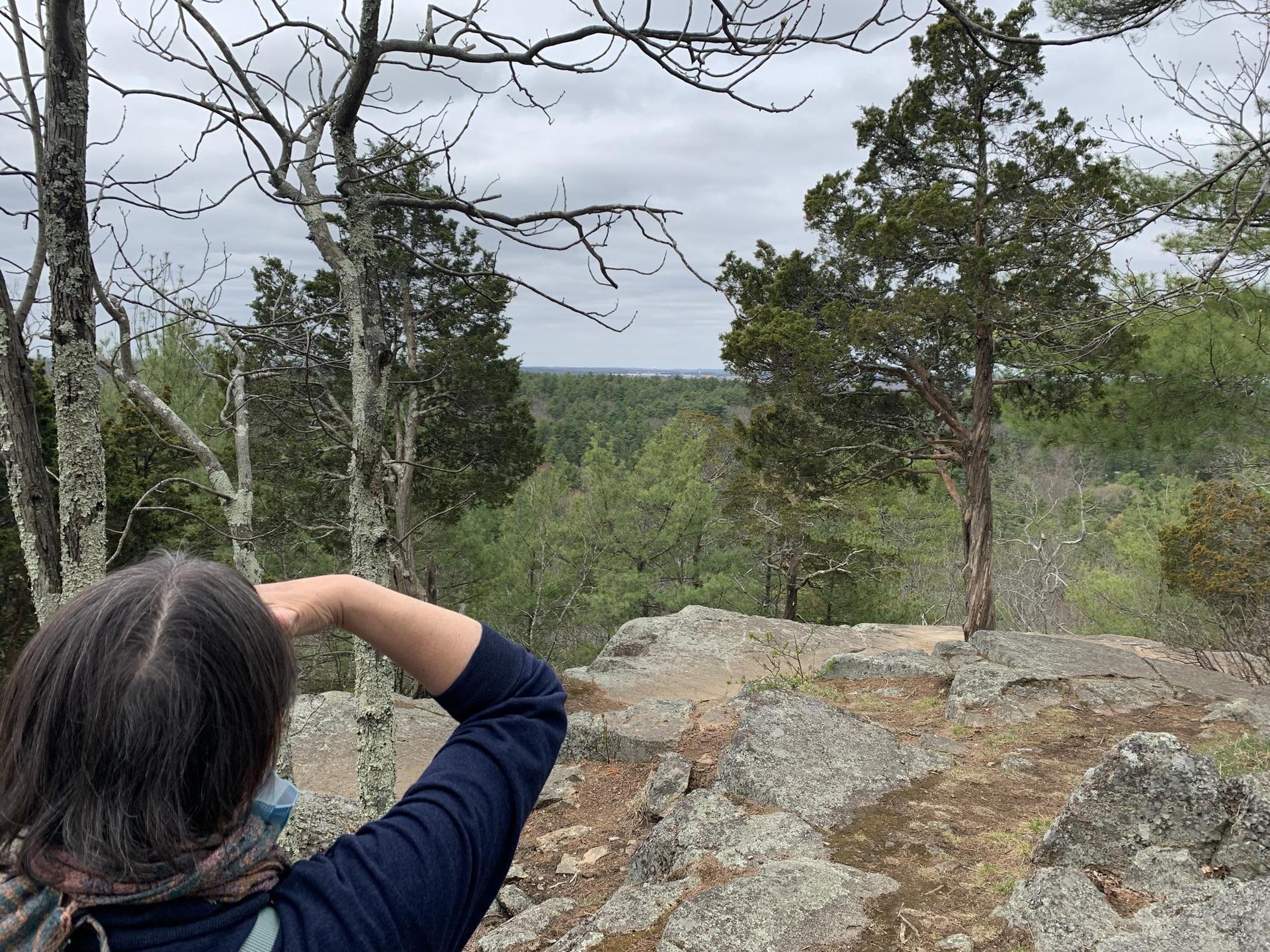 Person views a vast forested landscape from a rocky overlook on a cloudy day.