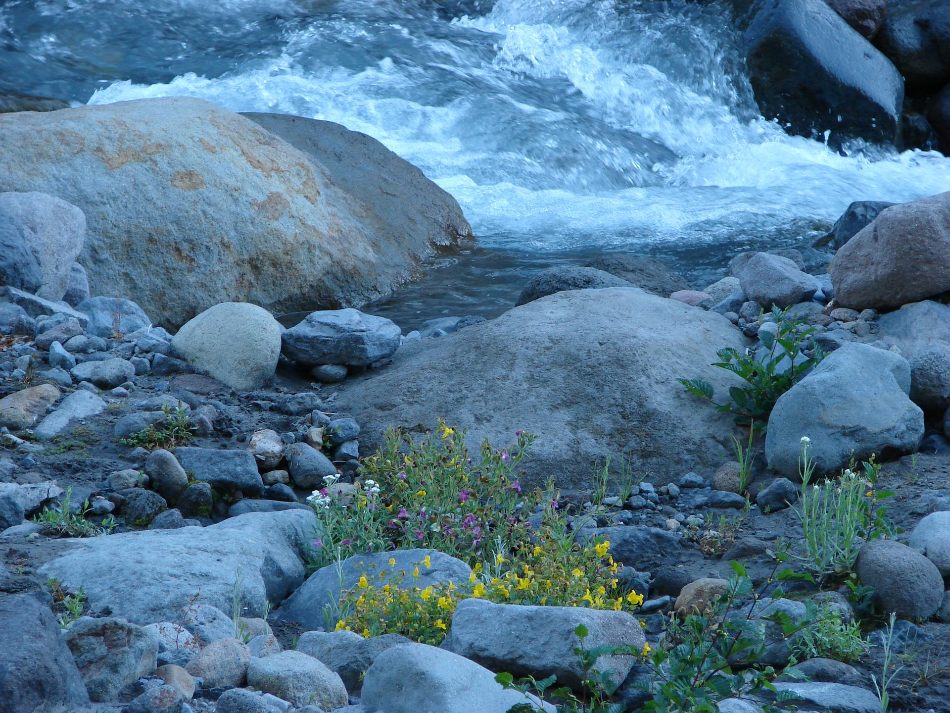 Rushing river flows over large rocks with small green and yellow plants.