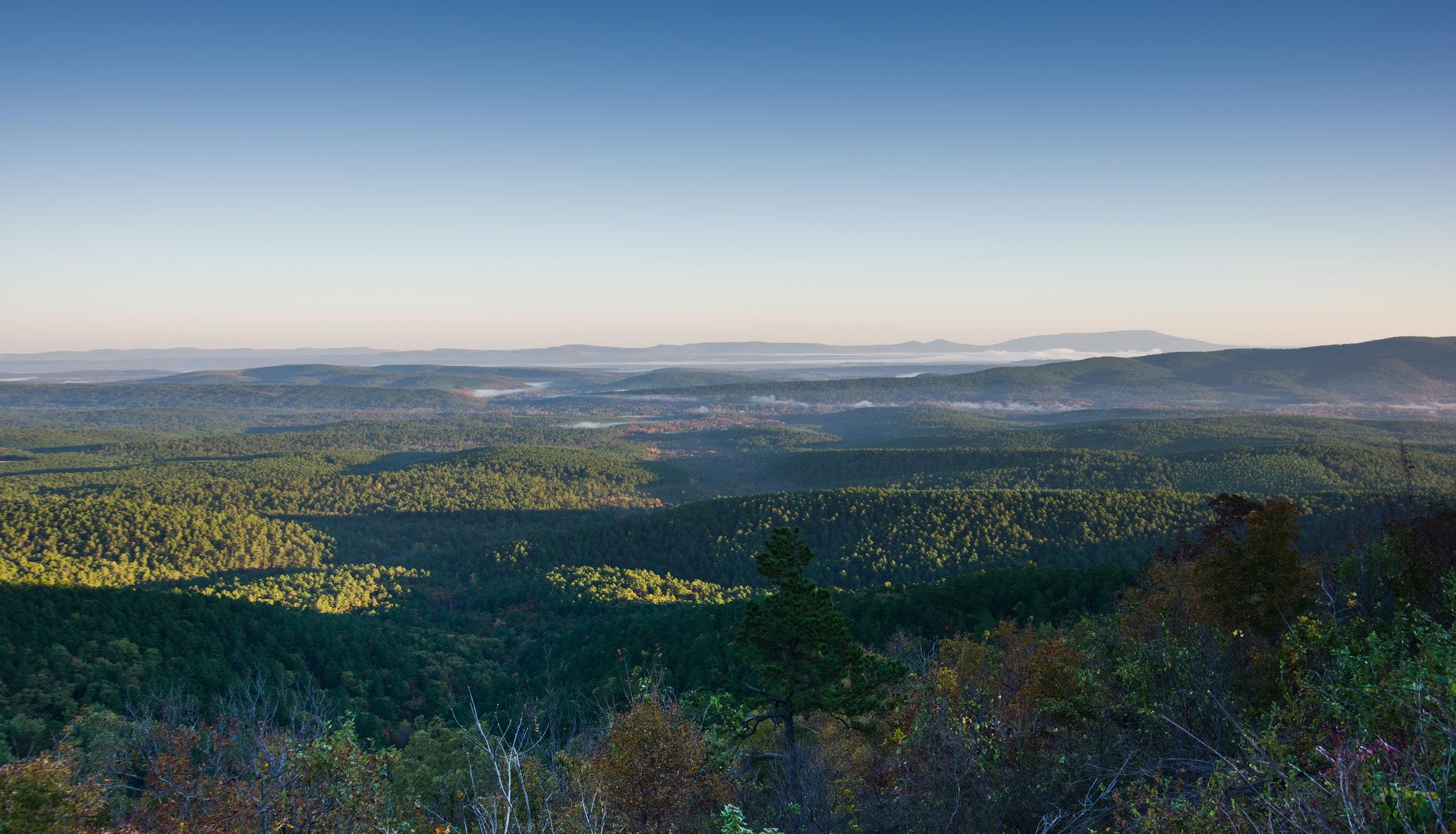Expansive view of forested mountains and valleys under a clear morning sky.