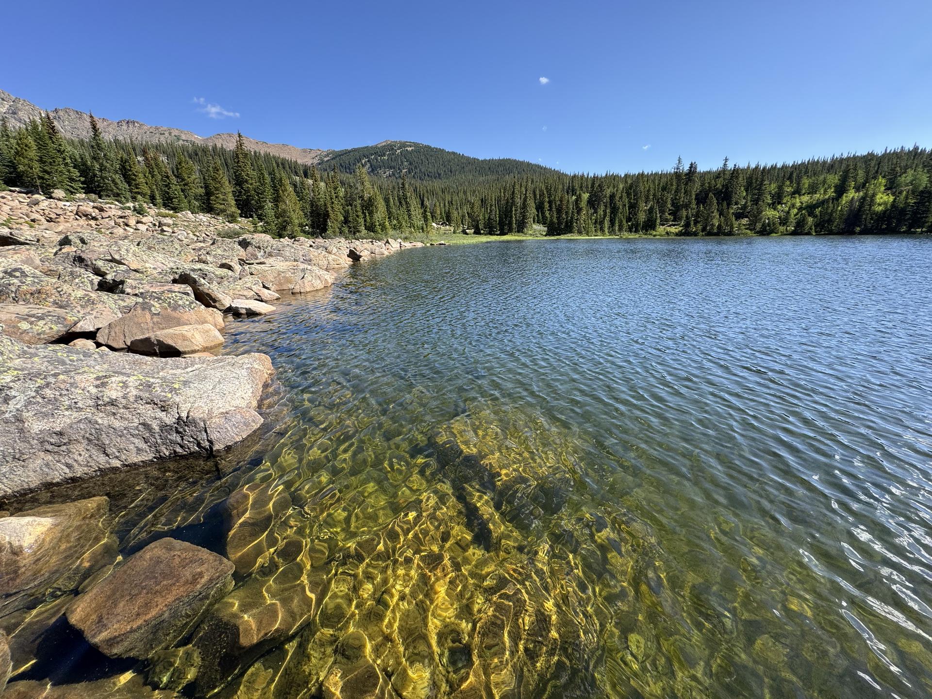 Clear mountain lake with rocky shore, pine trees, and blue sky.