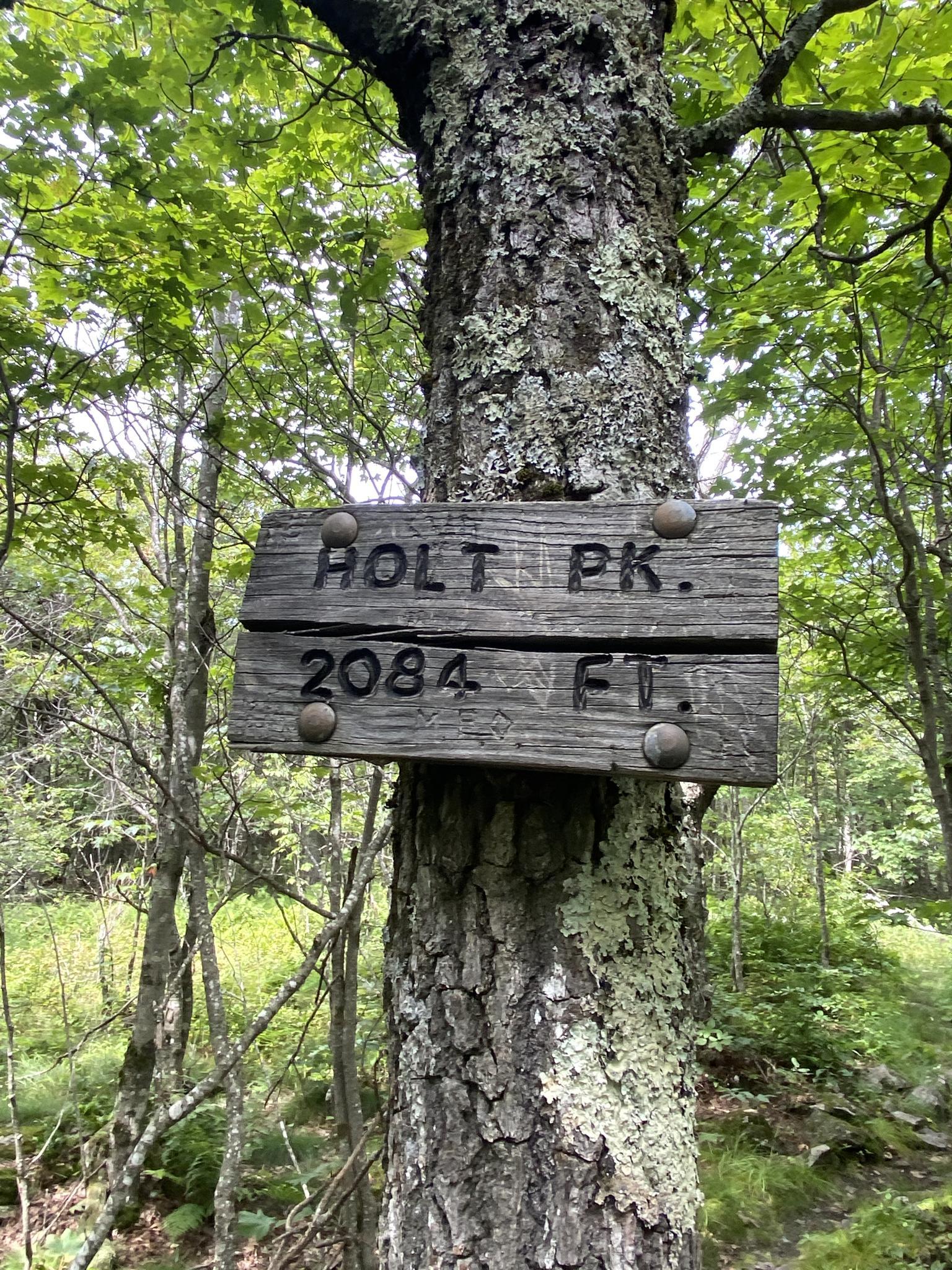 A weathered wooden sign is nailed to a tree trunk in a green forest.