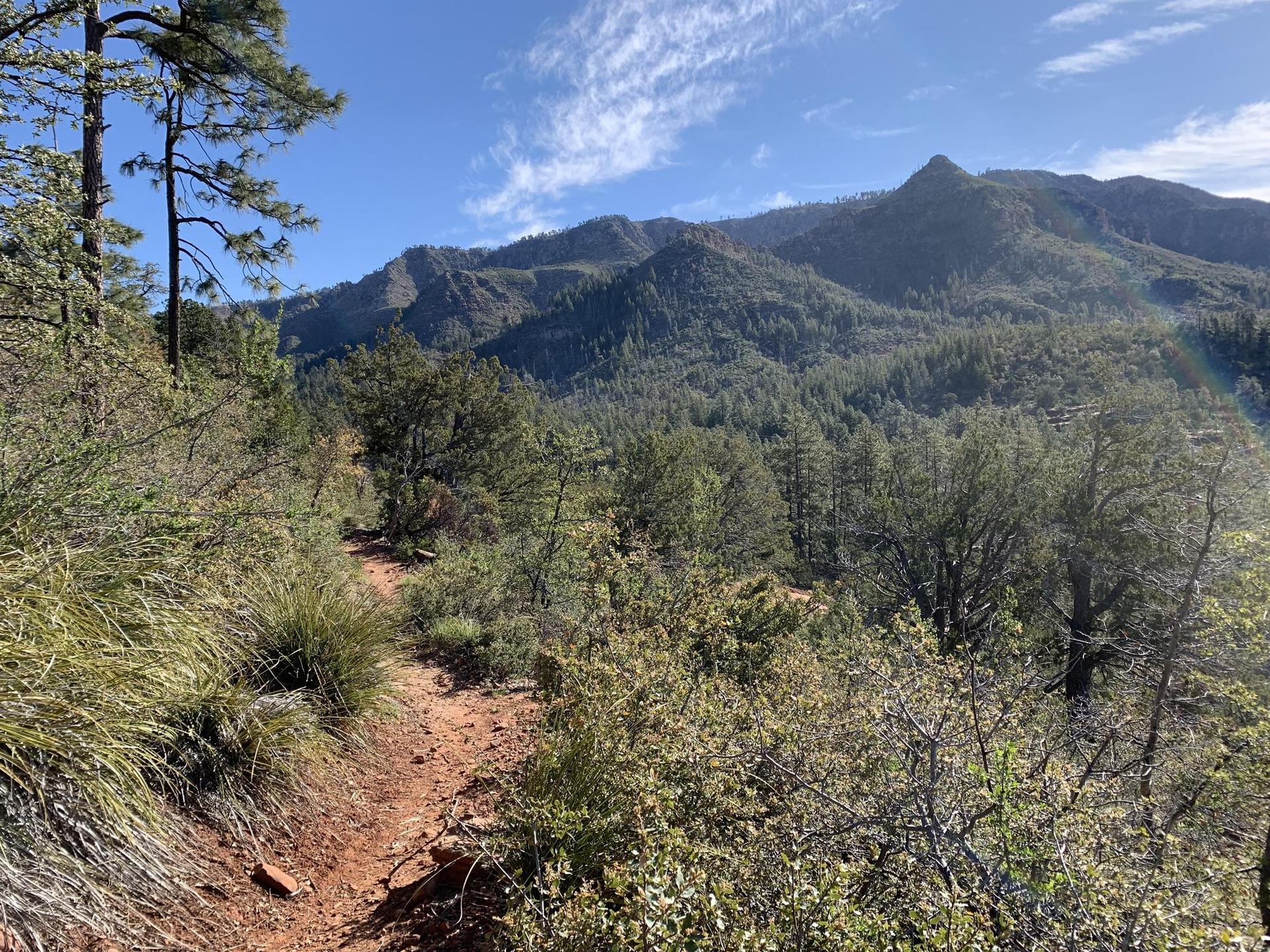 Dirt trail winding through green brush with mountains in background under blue sky.