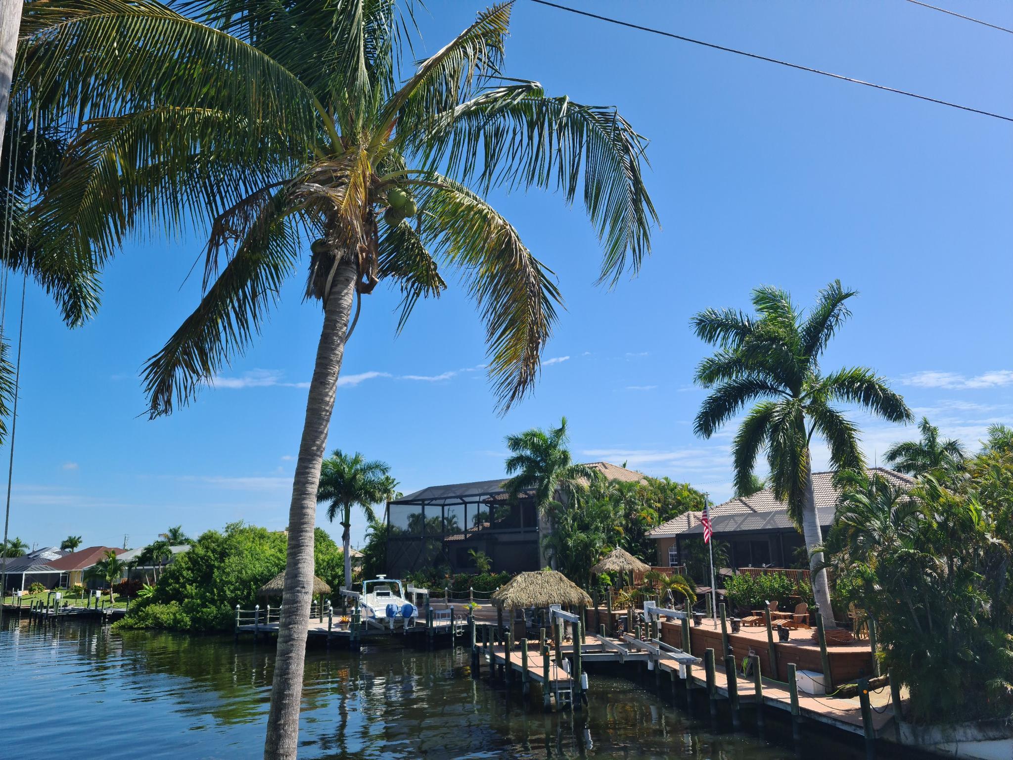 Tall palm trees frame a sunny canal with houses and docks.