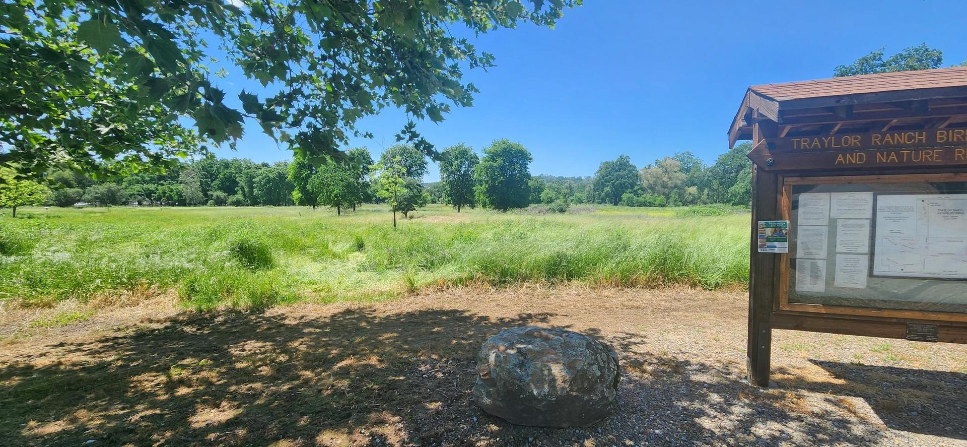 Sunny outdoor scene with a large green meadow and an information board.