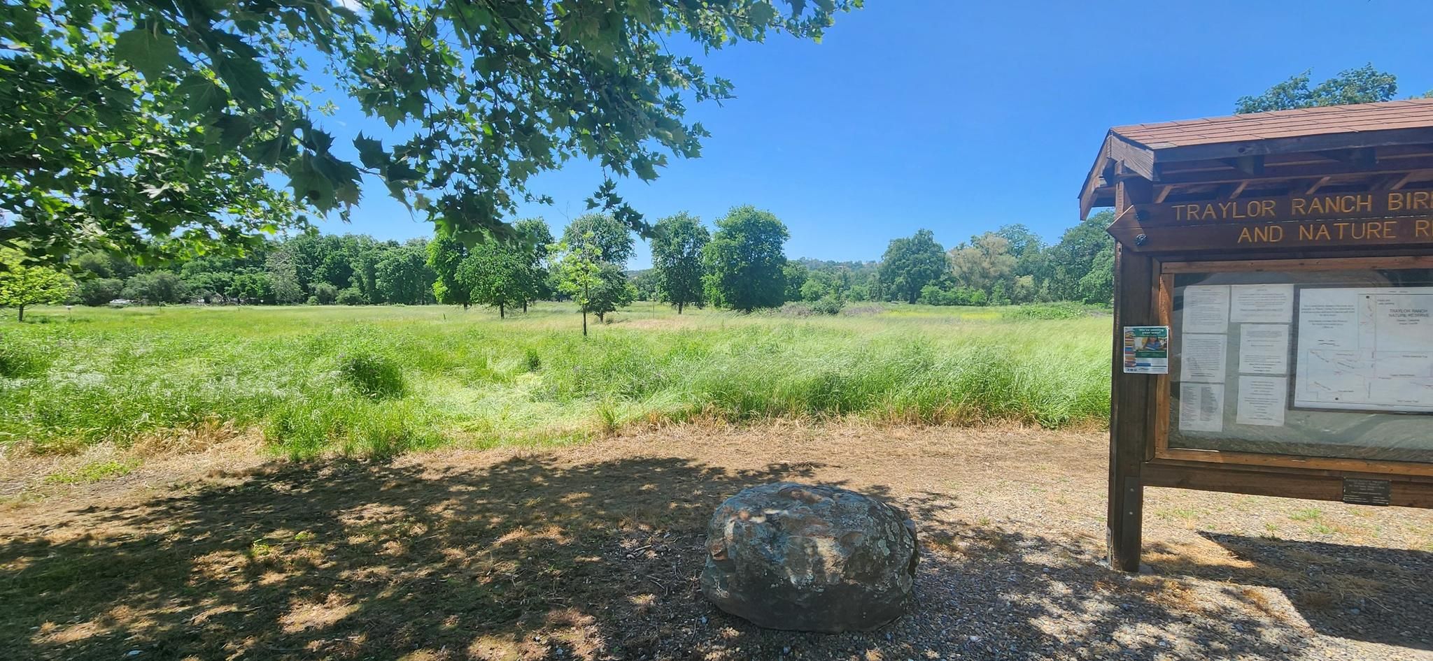 Sunny outdoor scene with a large green meadow and an information board. - Downtown Rocklin to Downtown Lincoln loop