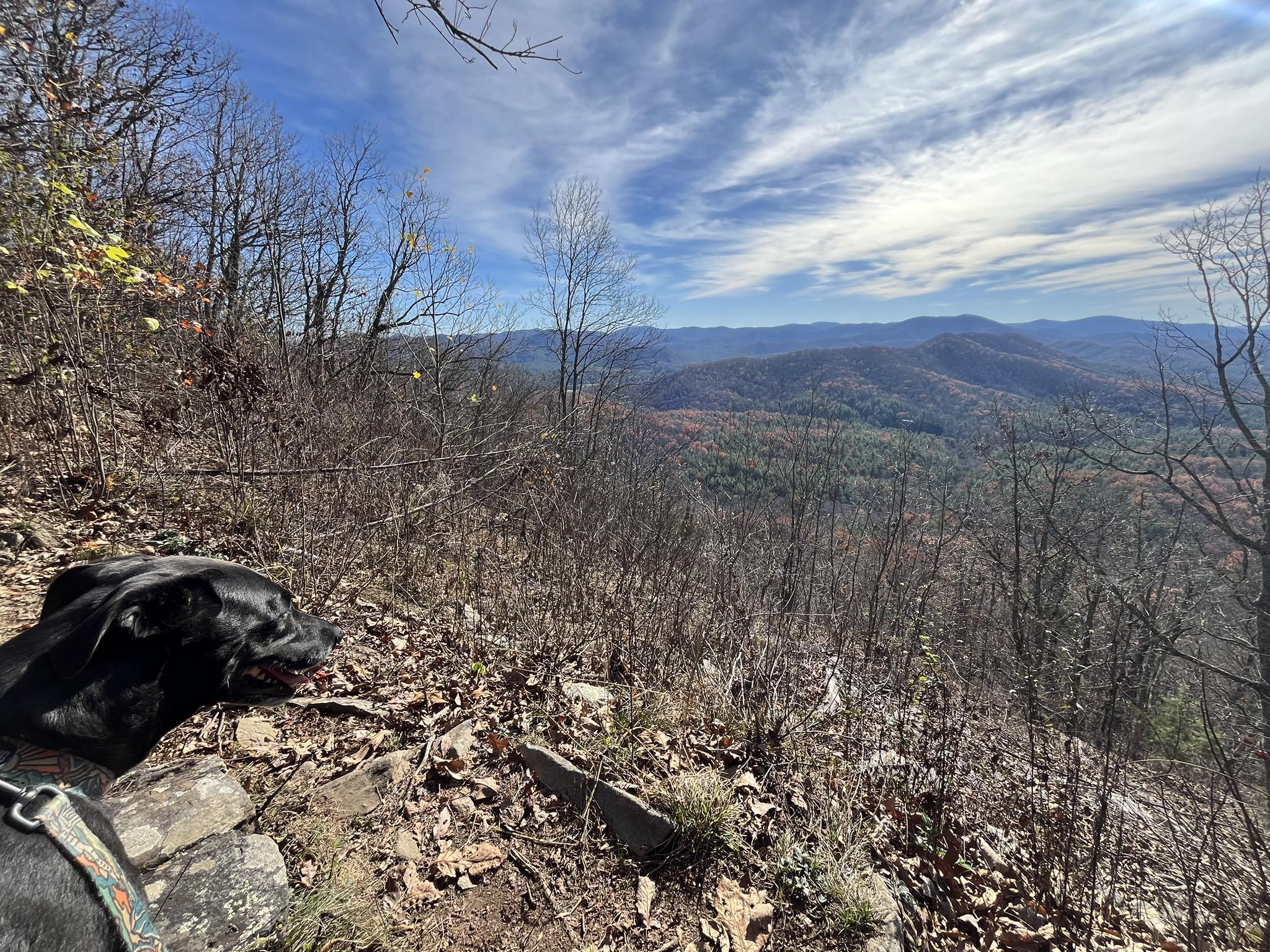 A black dog rests on a rocky overlook, viewing a vast mountain landscape.