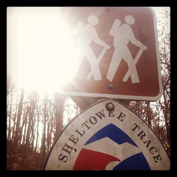 Two trail signs, one for hikers, backlit by bright sun in a forest.