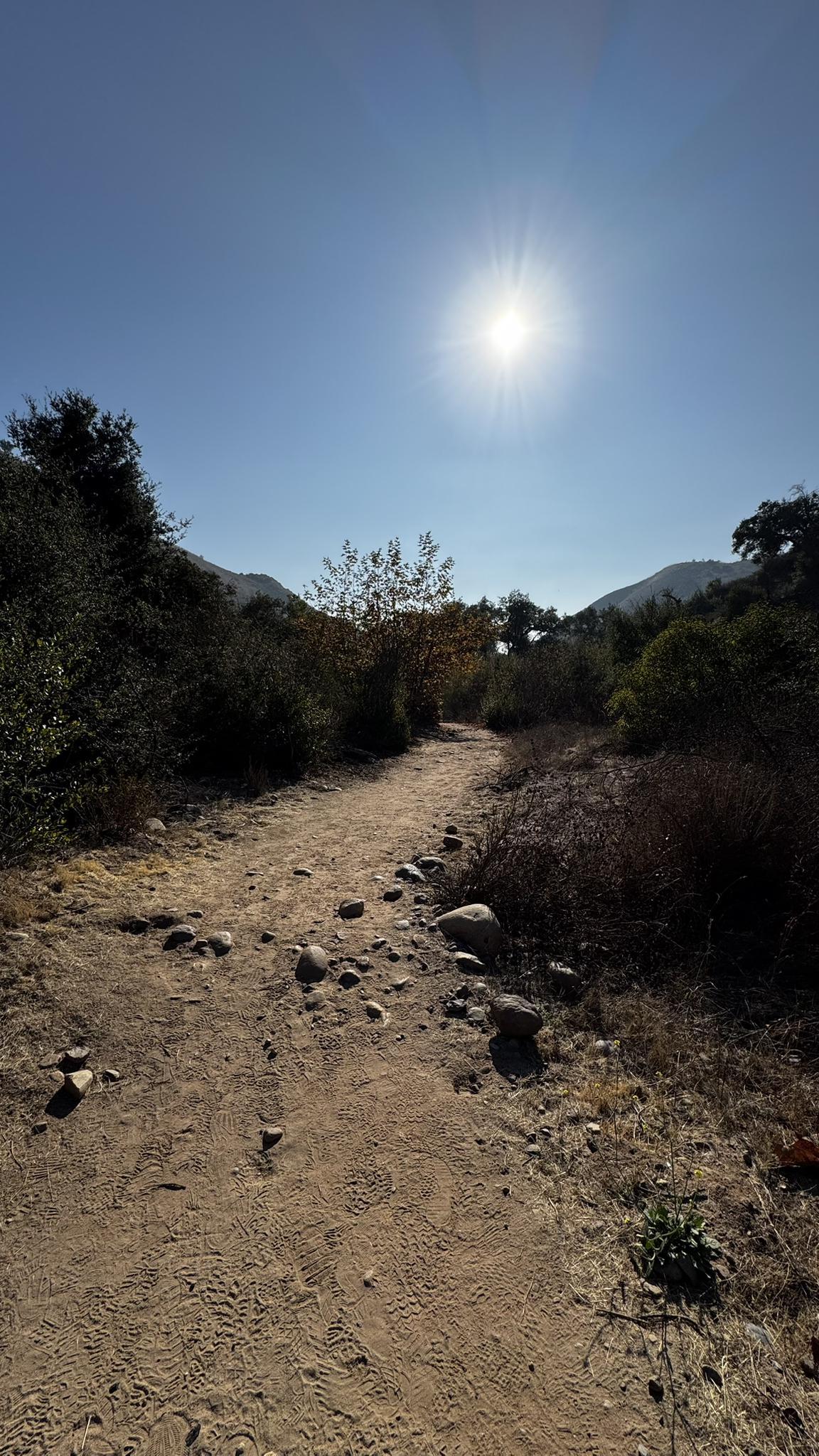 Dirt path with rocks leading into a valley under a bright sun.