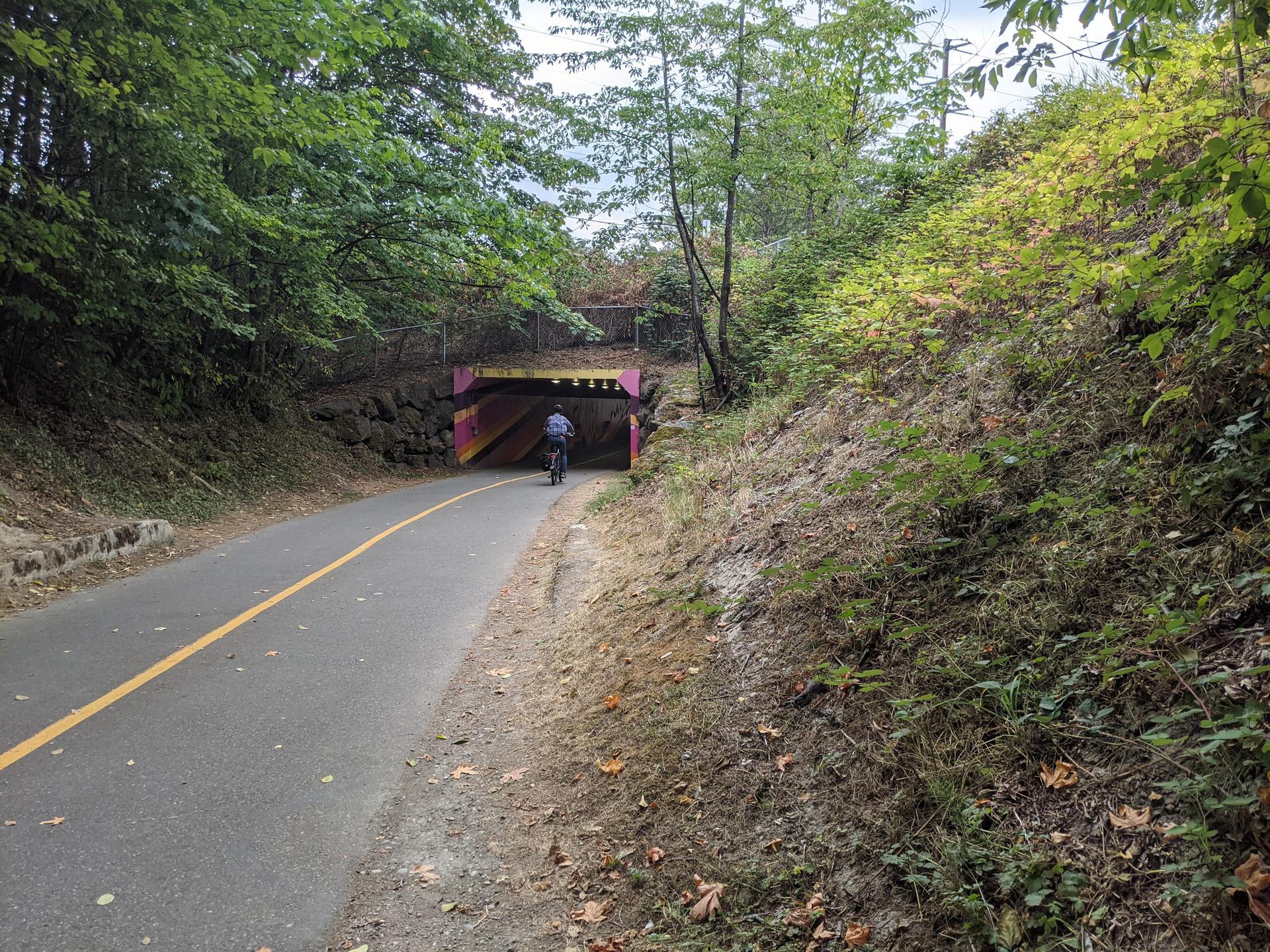 A person cycles on a paved path towards a colorful tunnel under green trees.