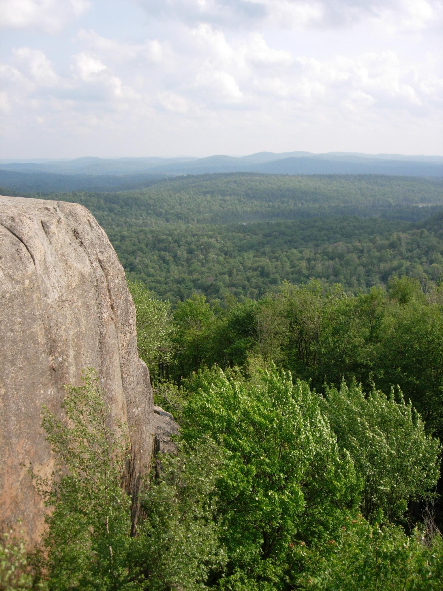 A large rock face overlooks a vast green forest under a bright, cloudy sky.